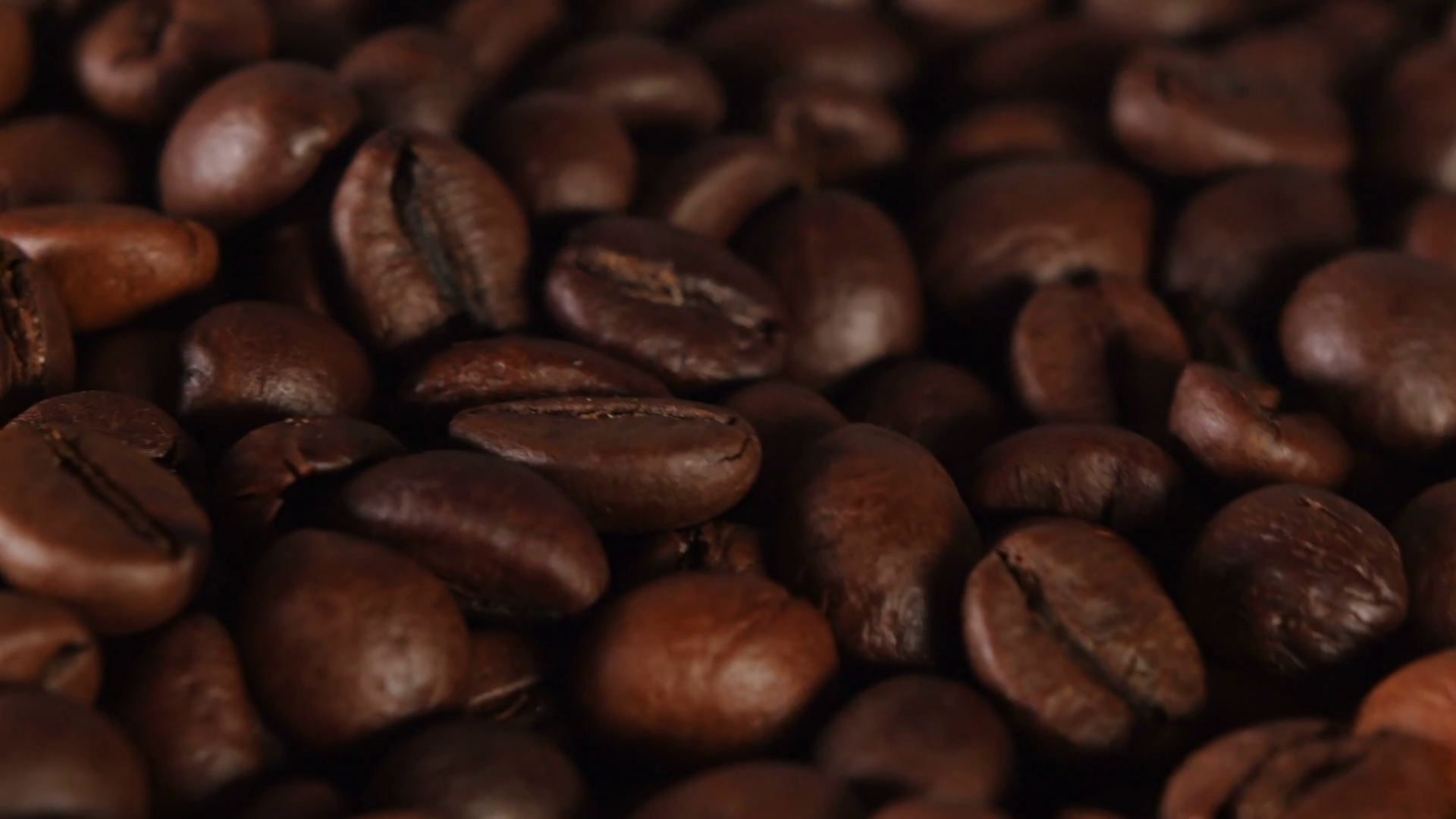 Brown coffee beans photo