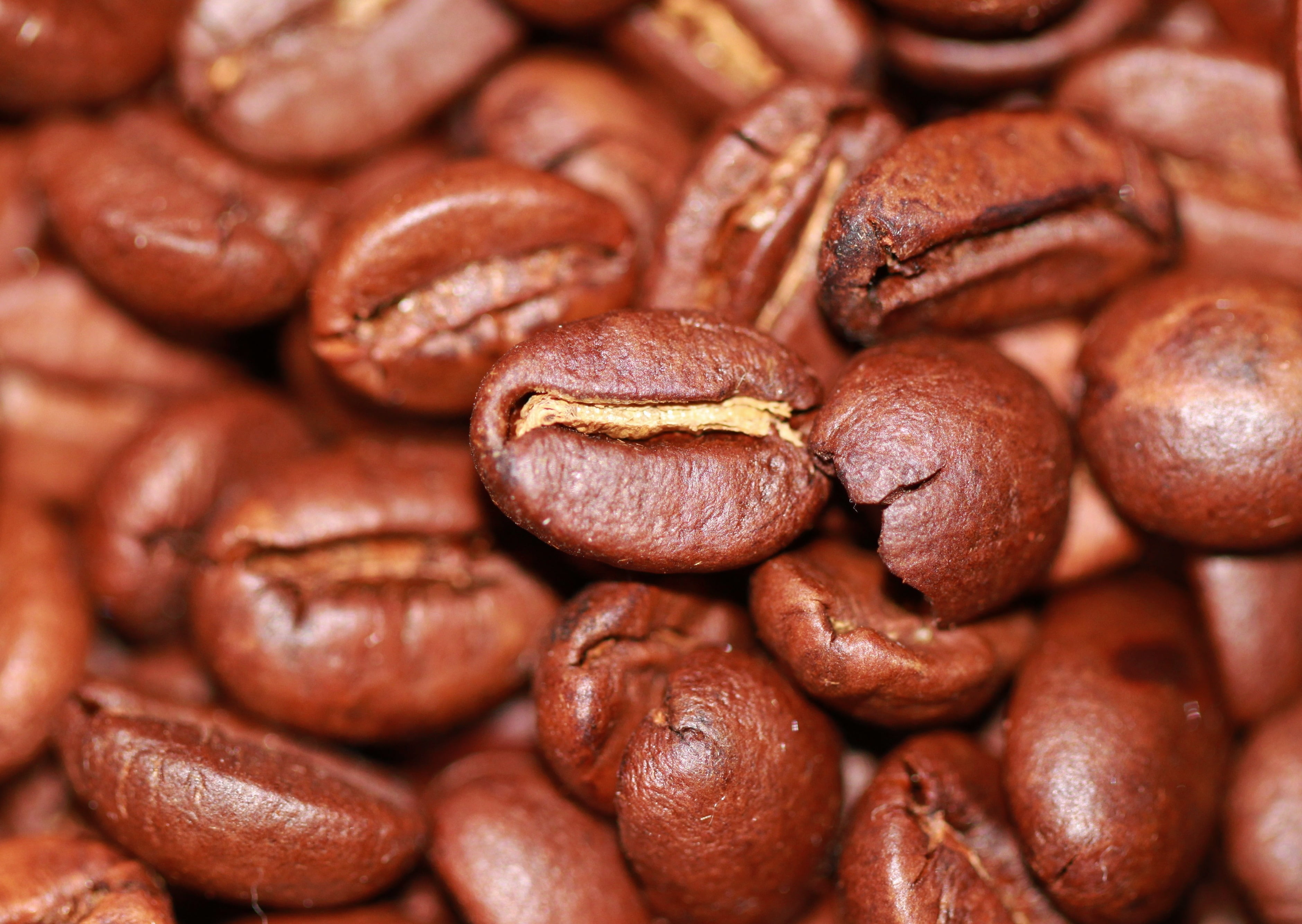 Brown coffee beans HD wallpaper | Wallpaper Flare
