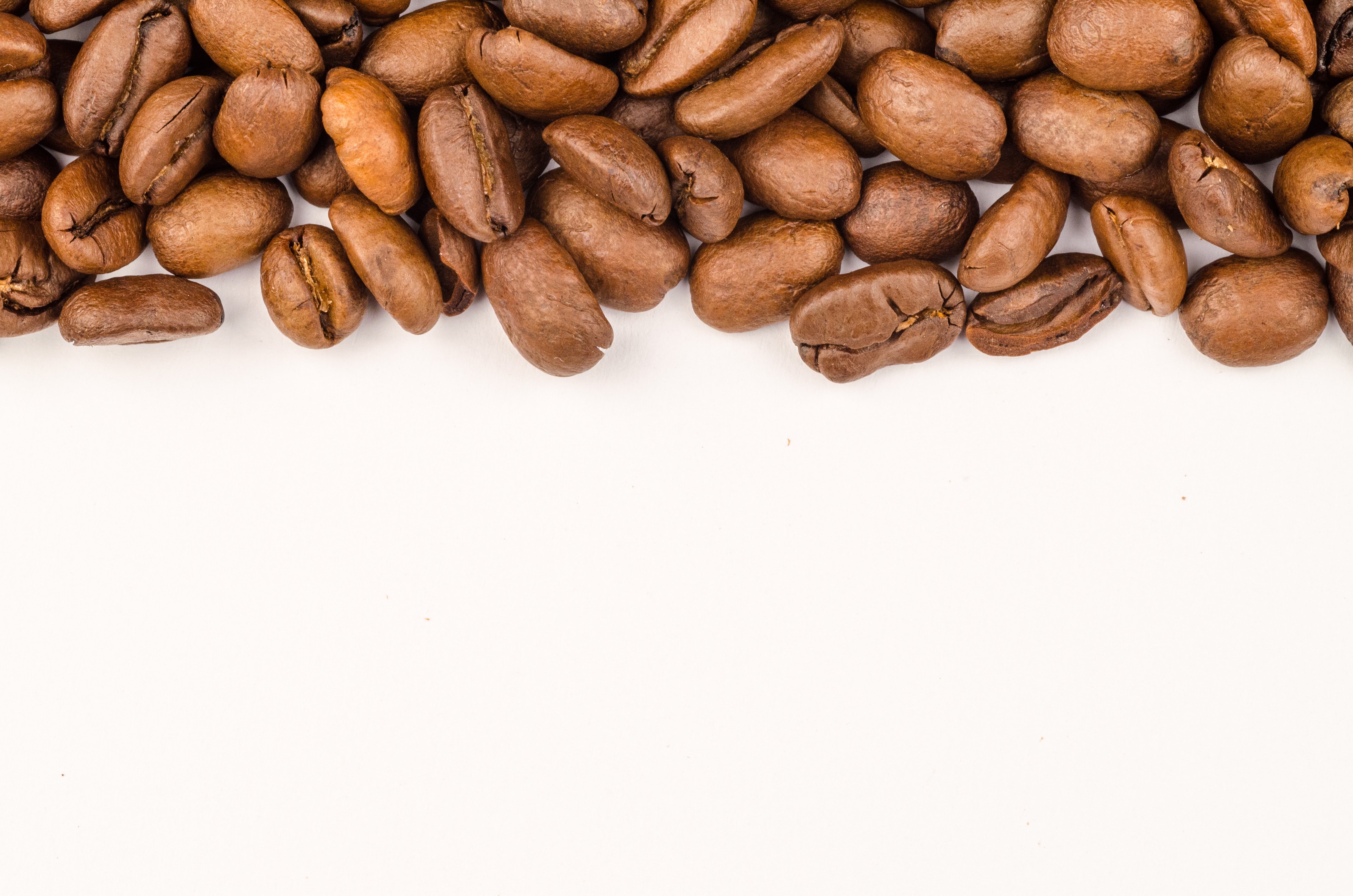 Brown coffee beans photo