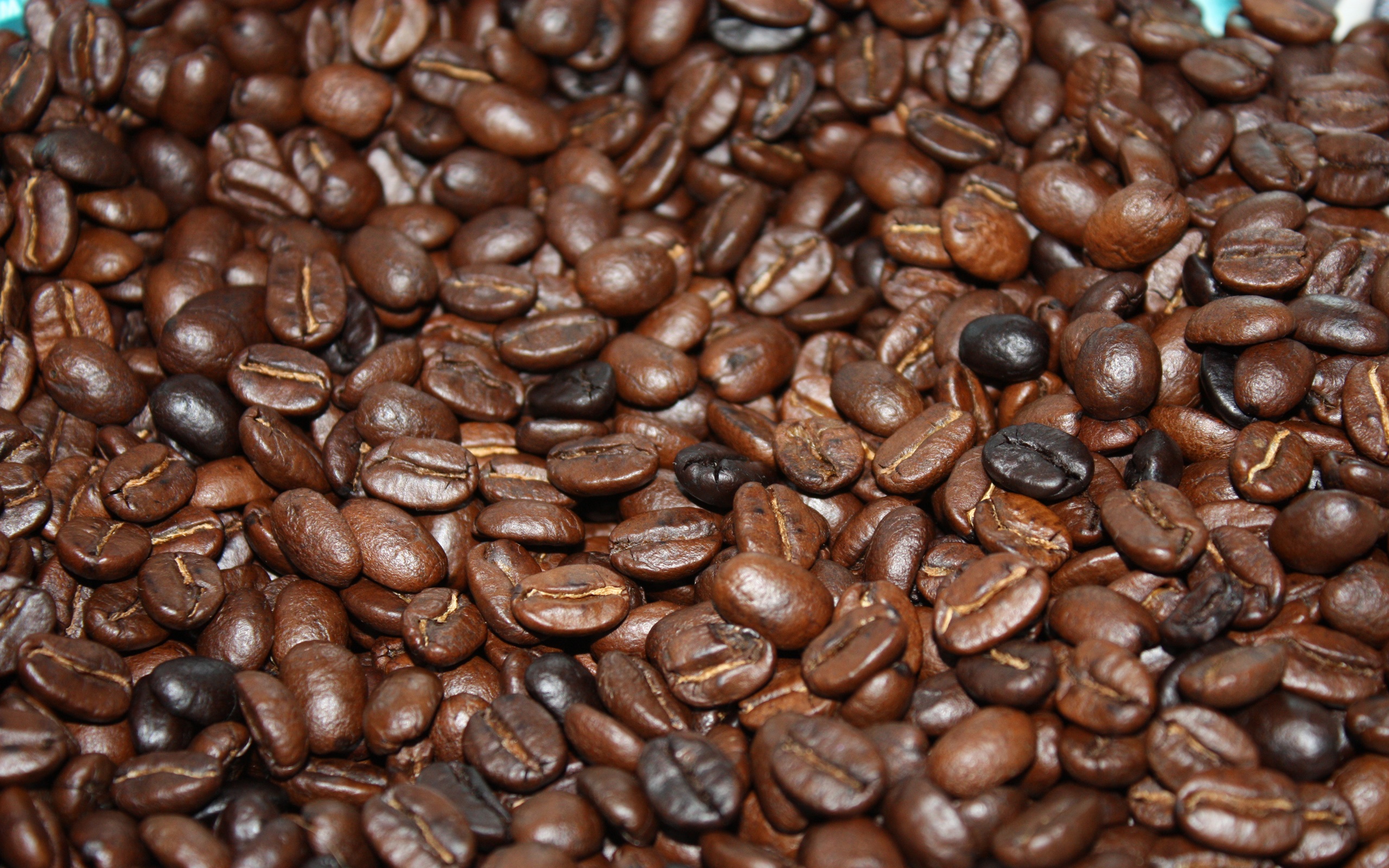 Brown Coffee Beans Wallpaper | HD Wallpaper Background