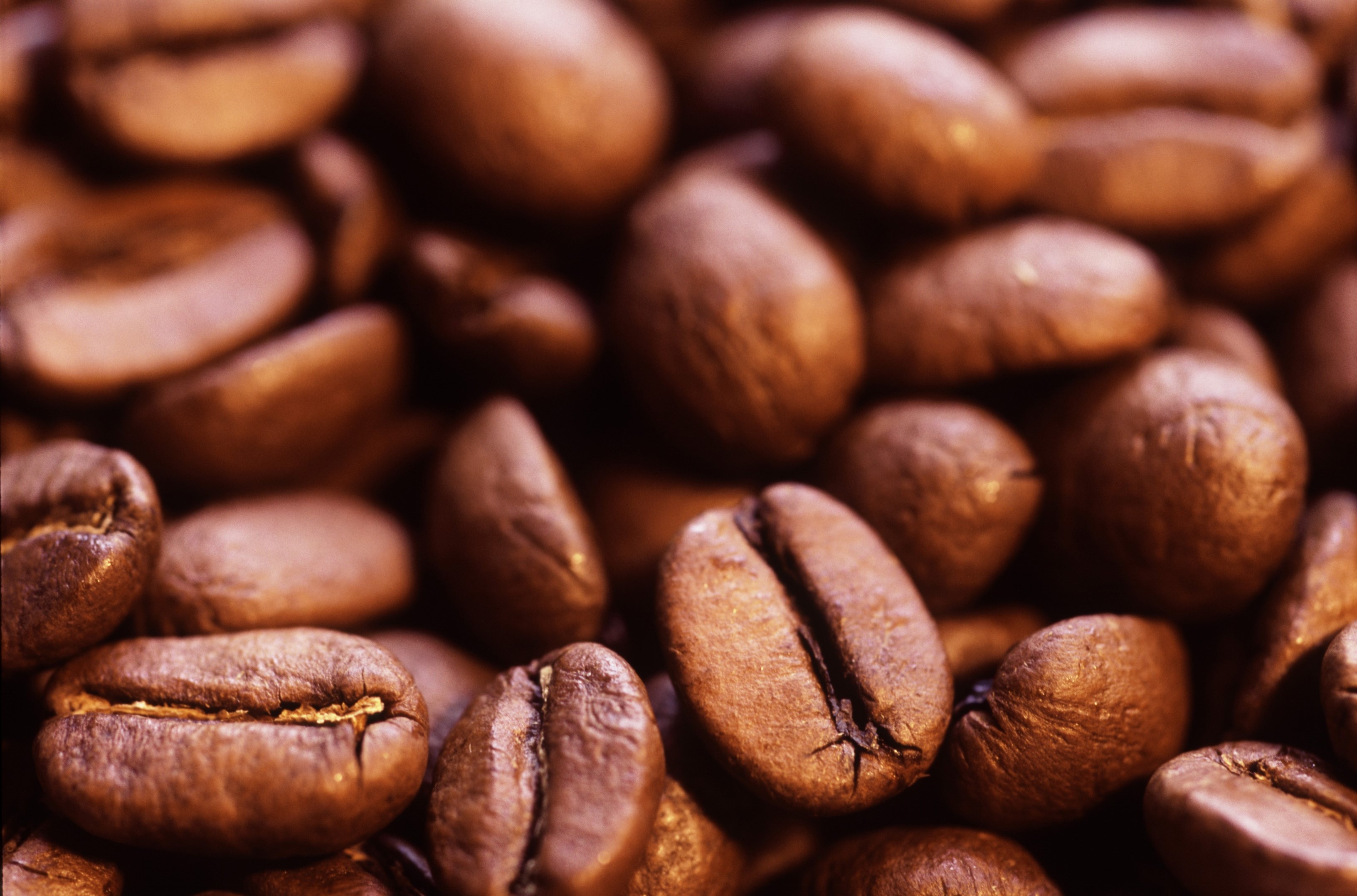 coffee beans