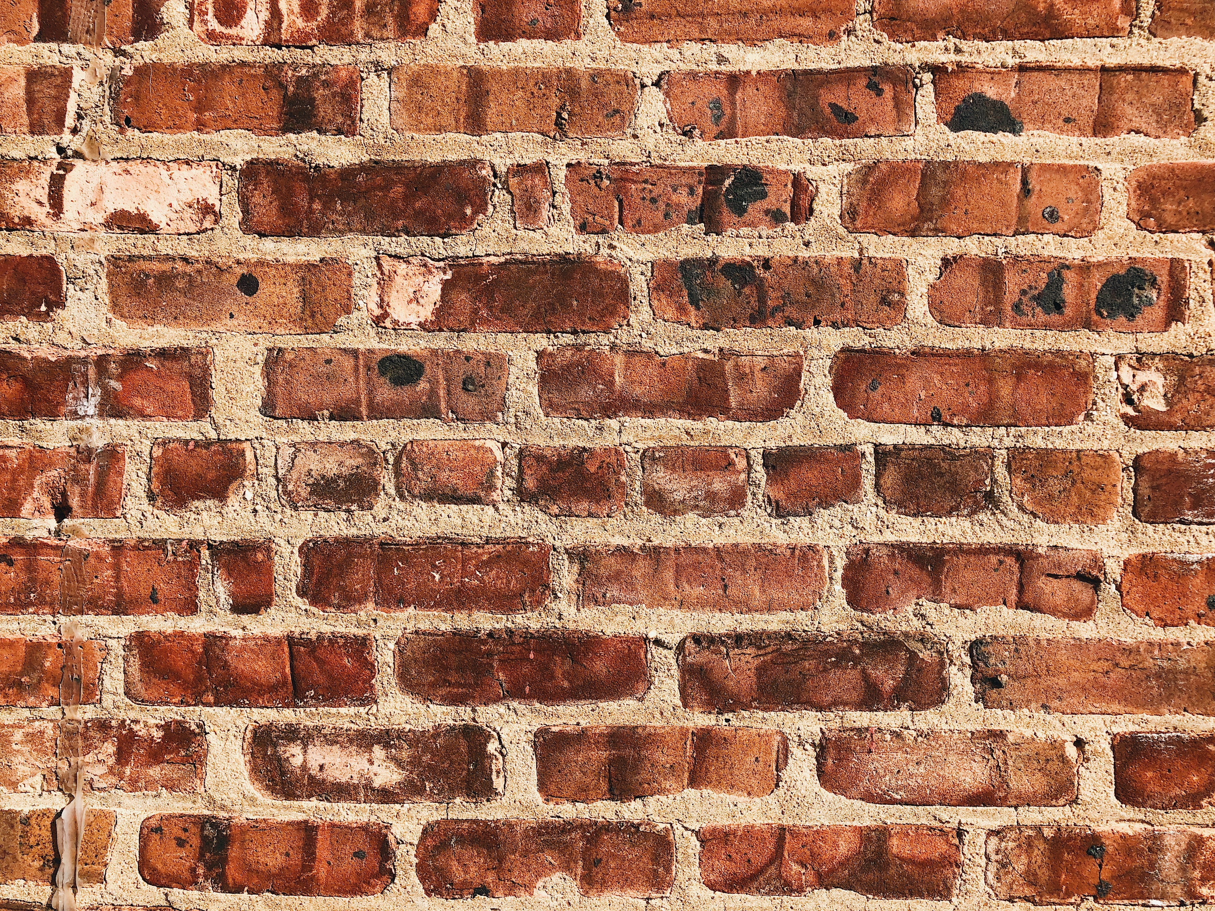 Brown concrete bricks, Wall, Brick, Surface HD wallpaper | Wallpaper ...
