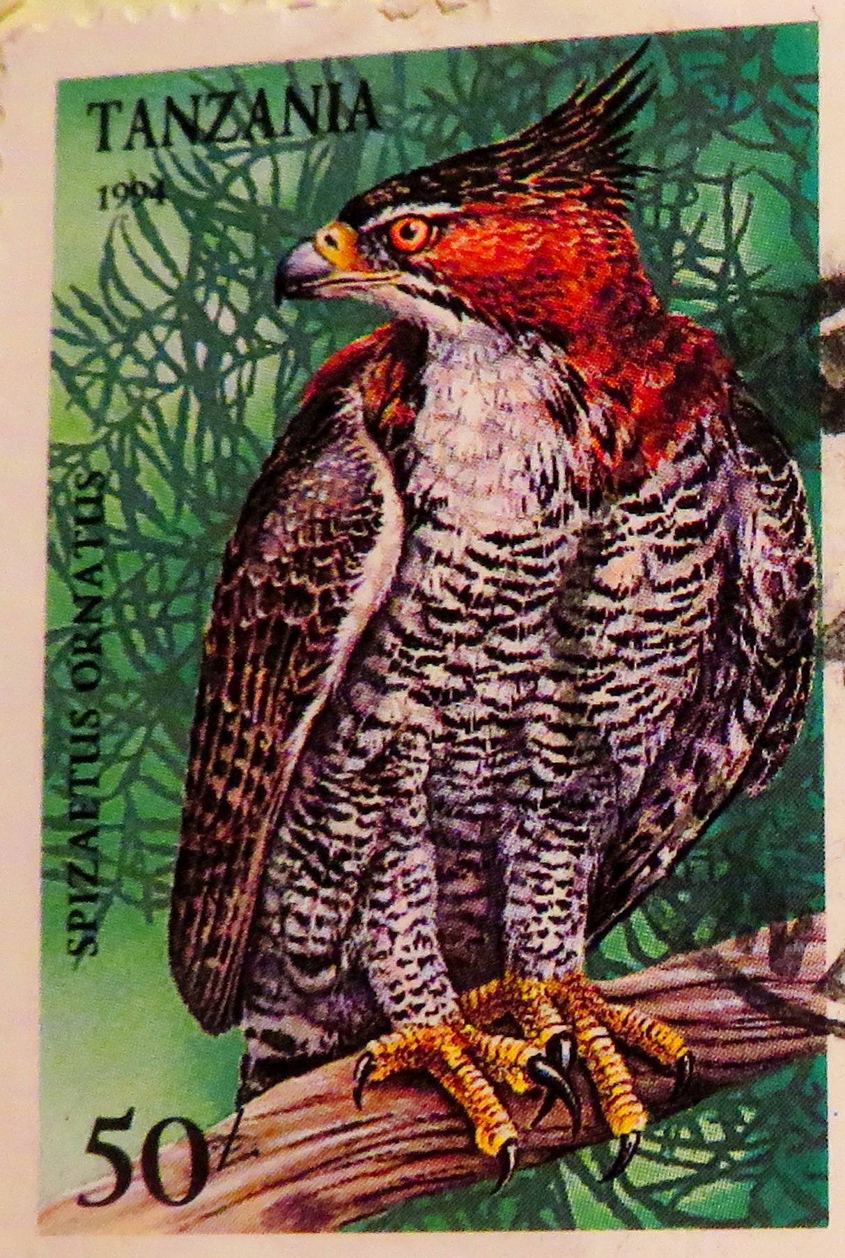 Red falcon stamp photo