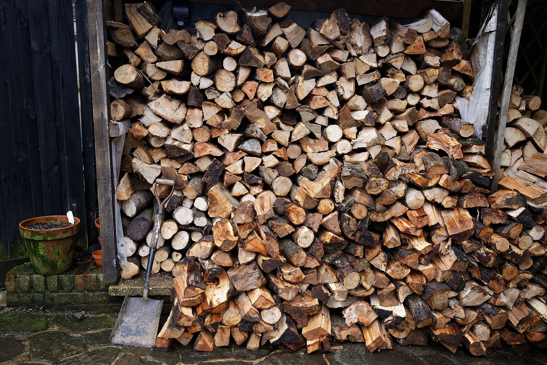 BLM Offers a Low-cost Firewood-cutting Program Near Ferndale ...