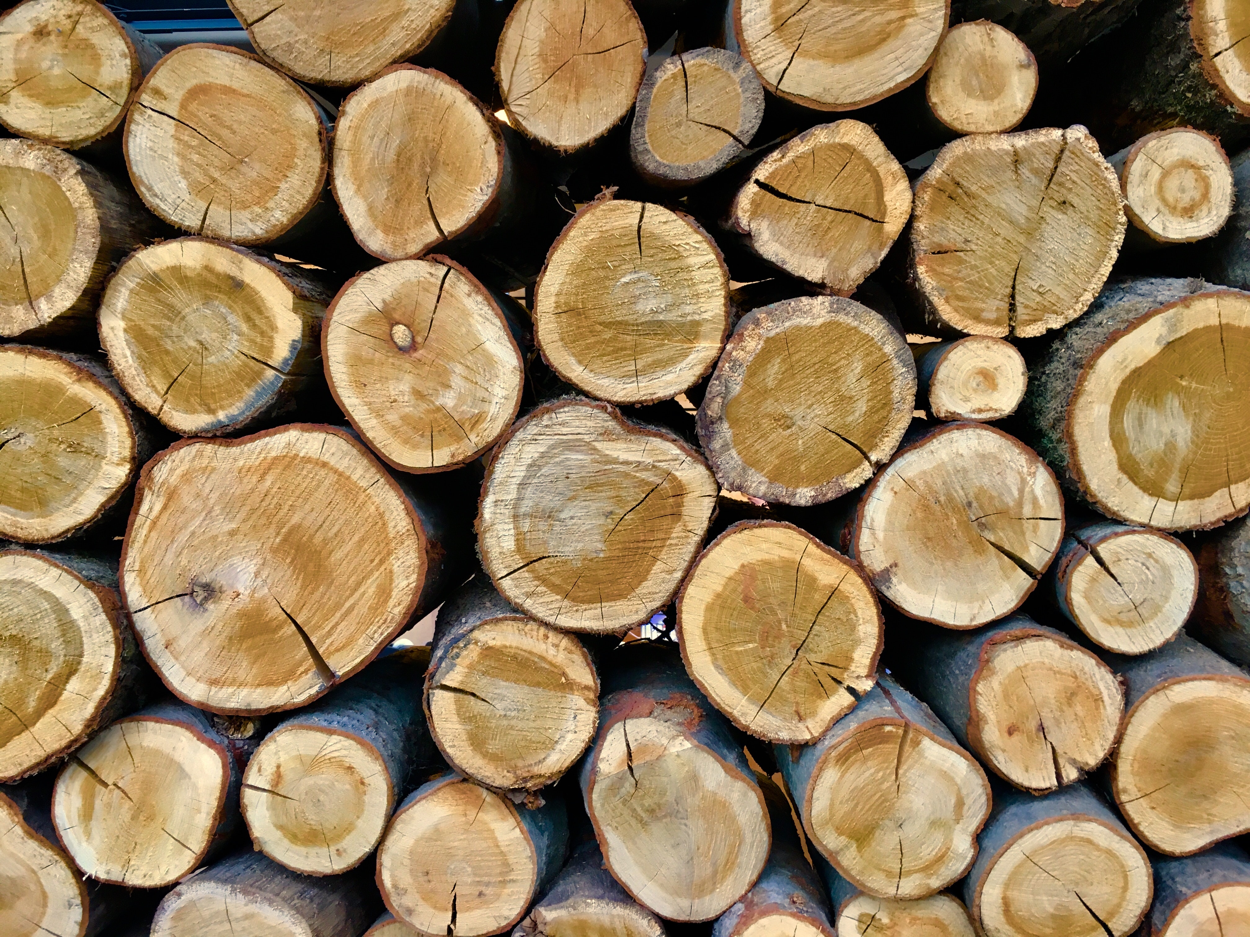 Free stock photo of background, brown, firewood