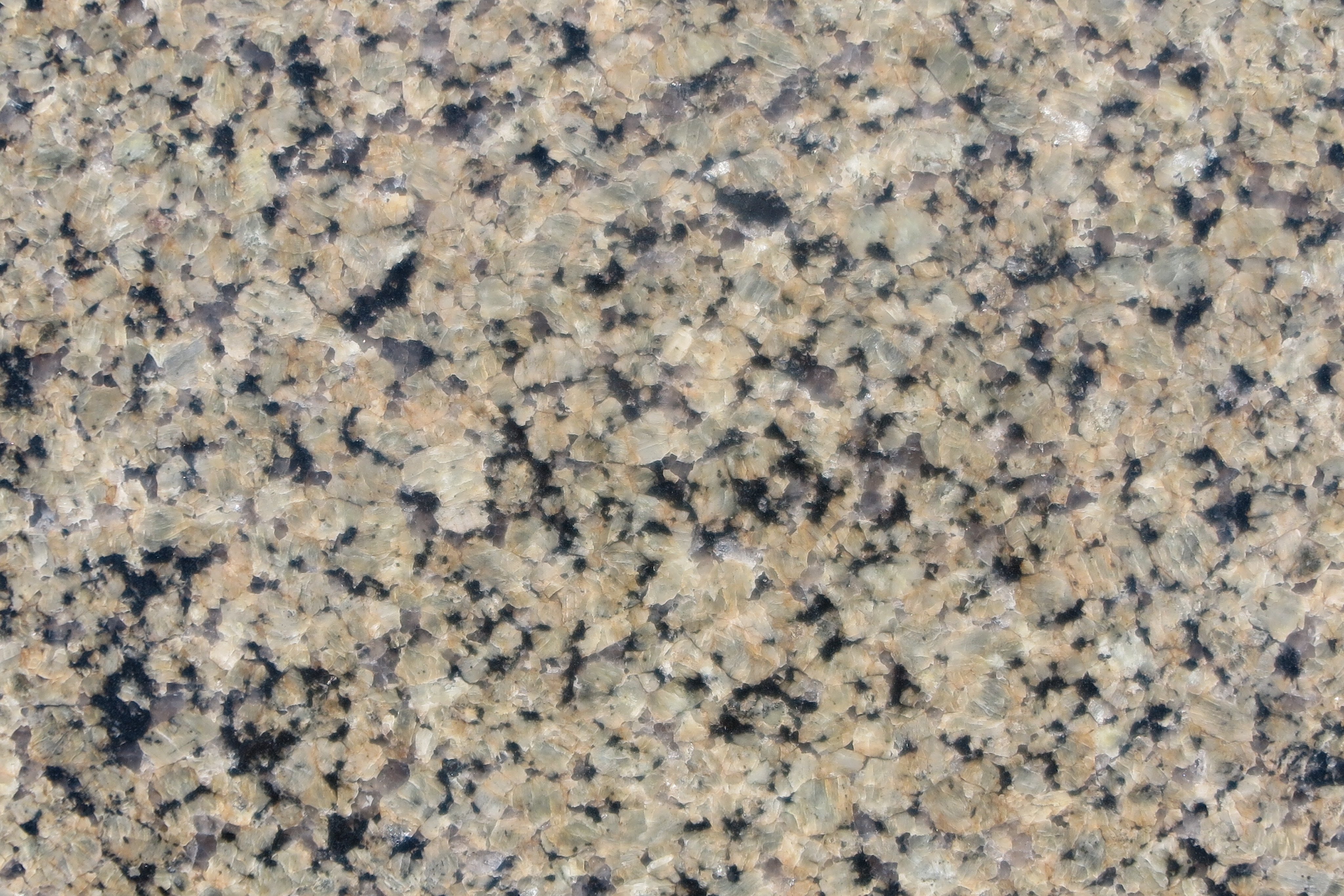 Tropical Brown Granite Tile - 12
