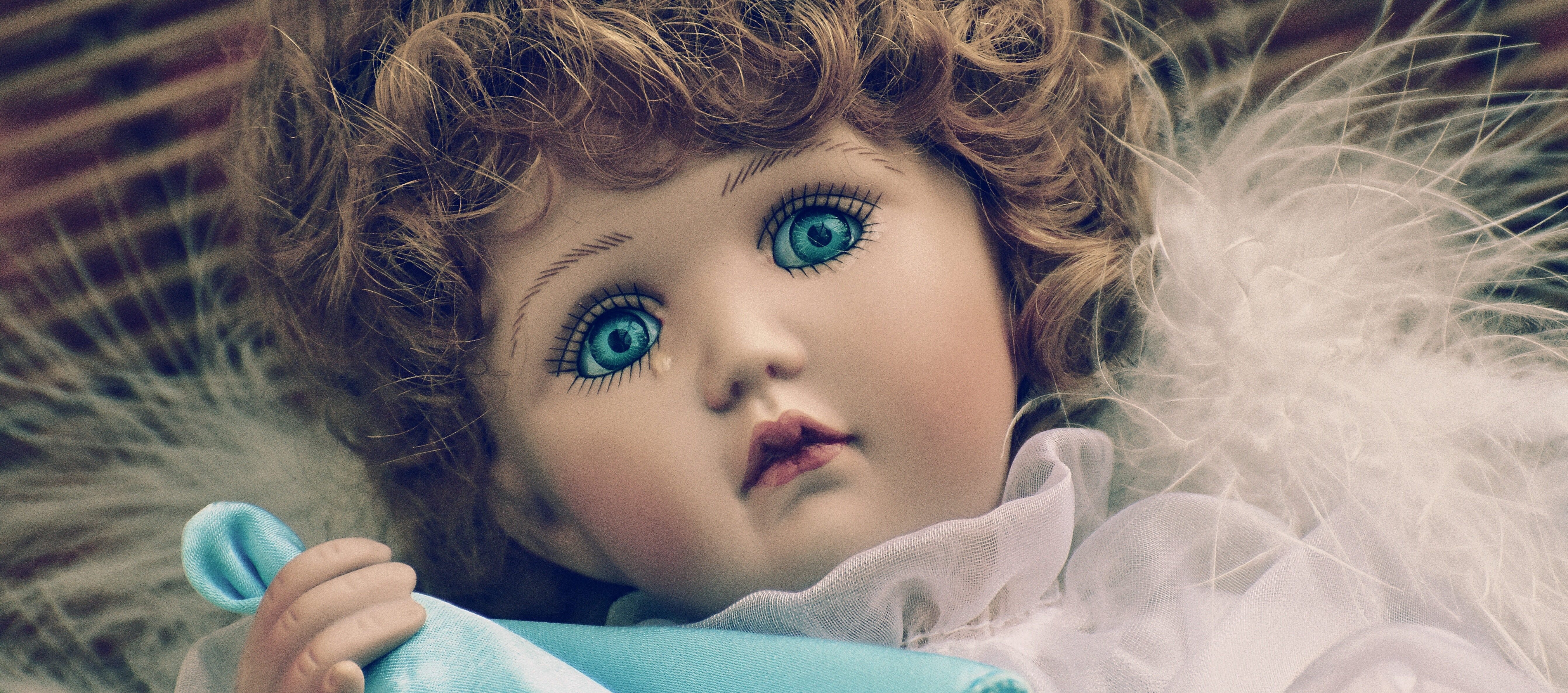 Brown haired female doll photo