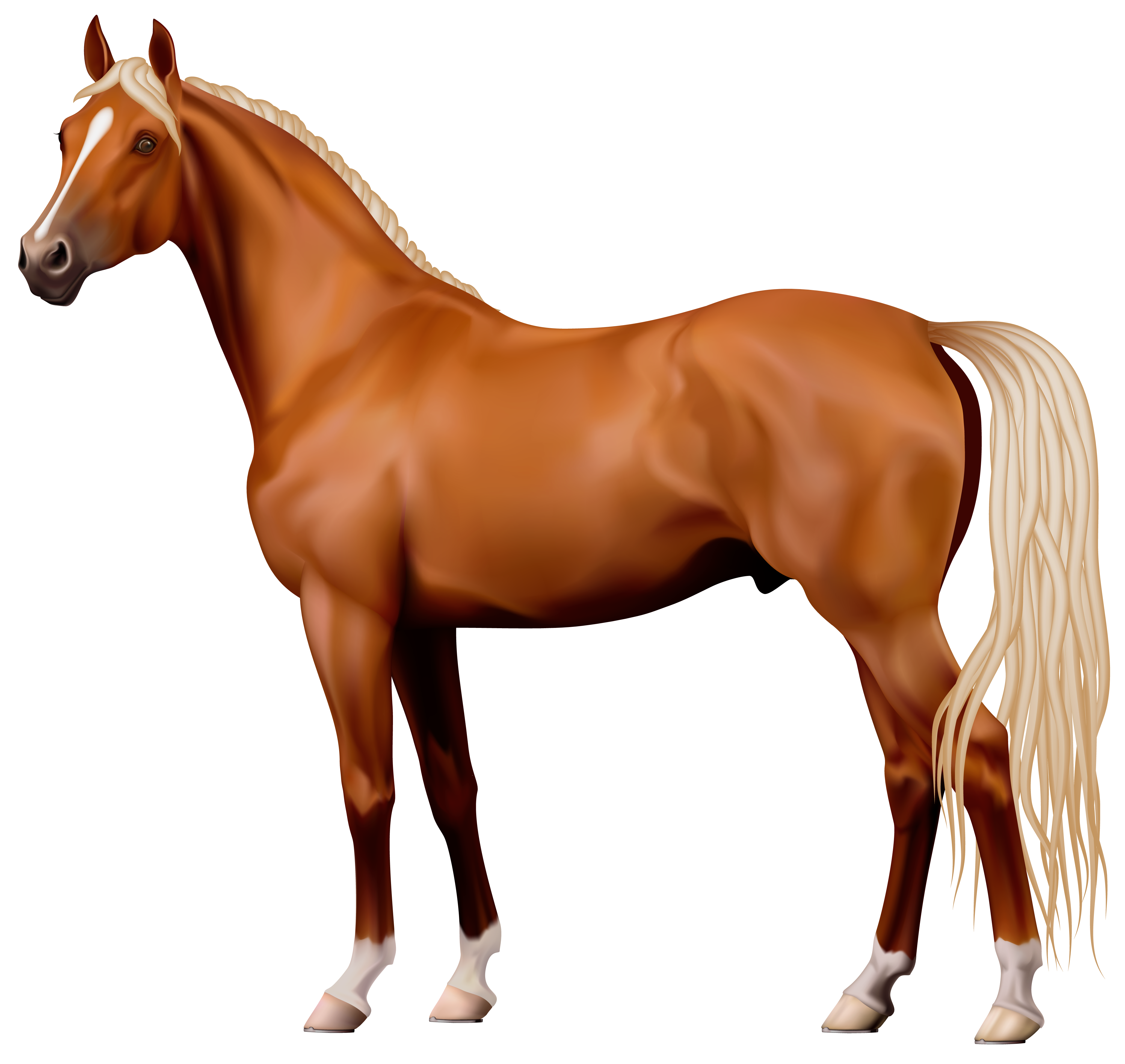 Brown Horse PNG Clipart - Best WEB Clipart