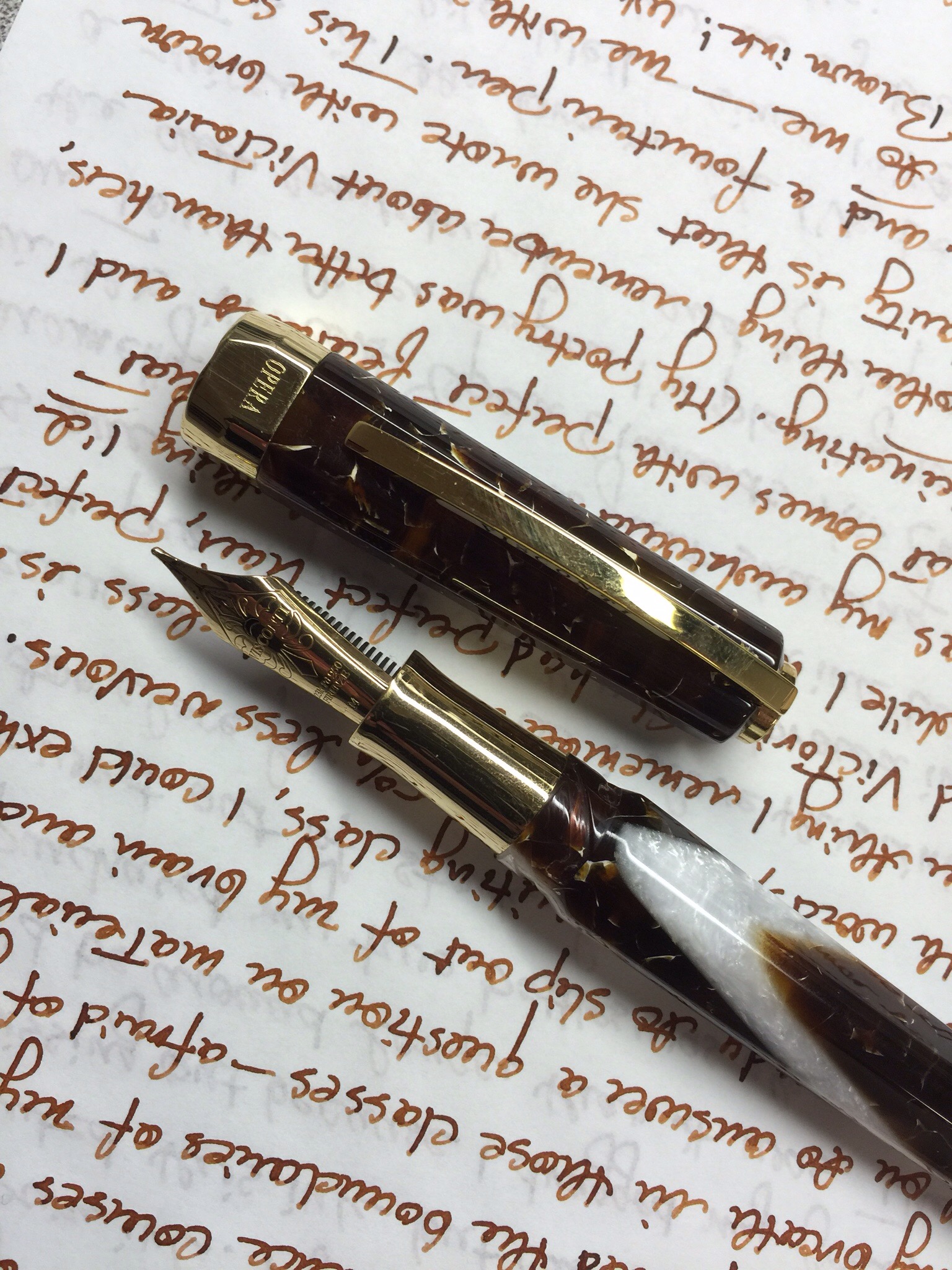 Perfect: SBRE Brown Ink | From the Pen Cup