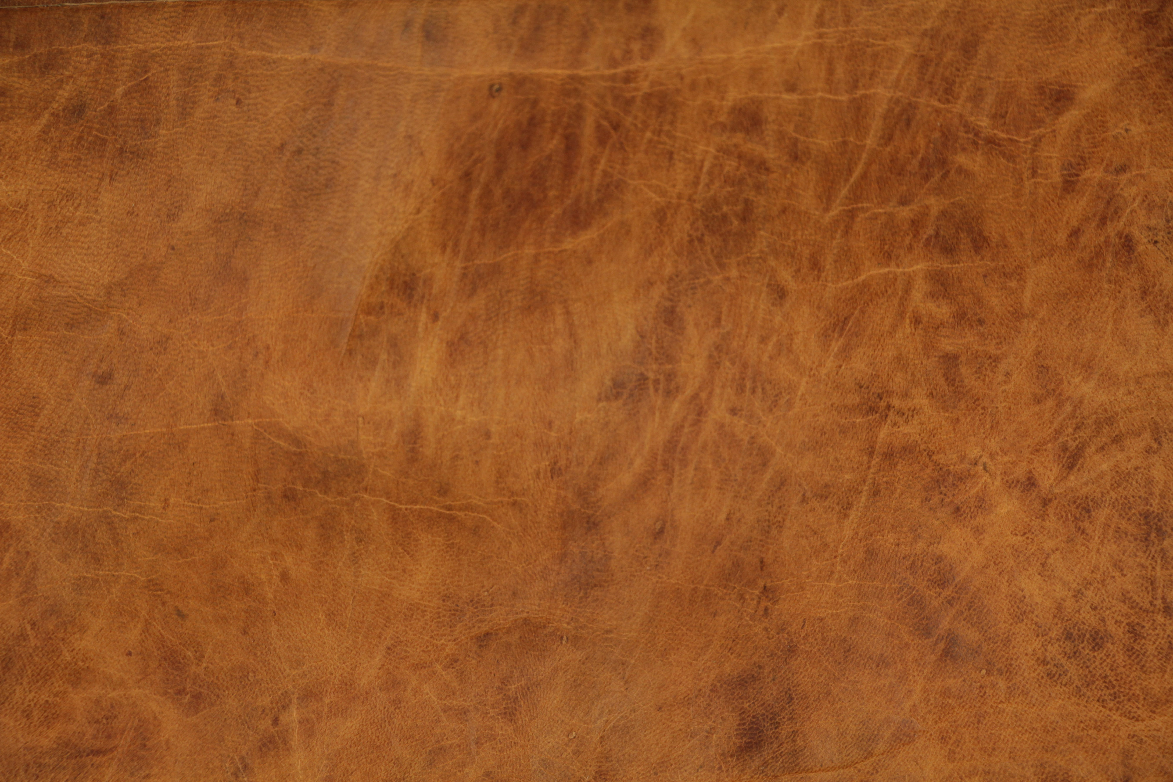 Brown Leather Texture 5 