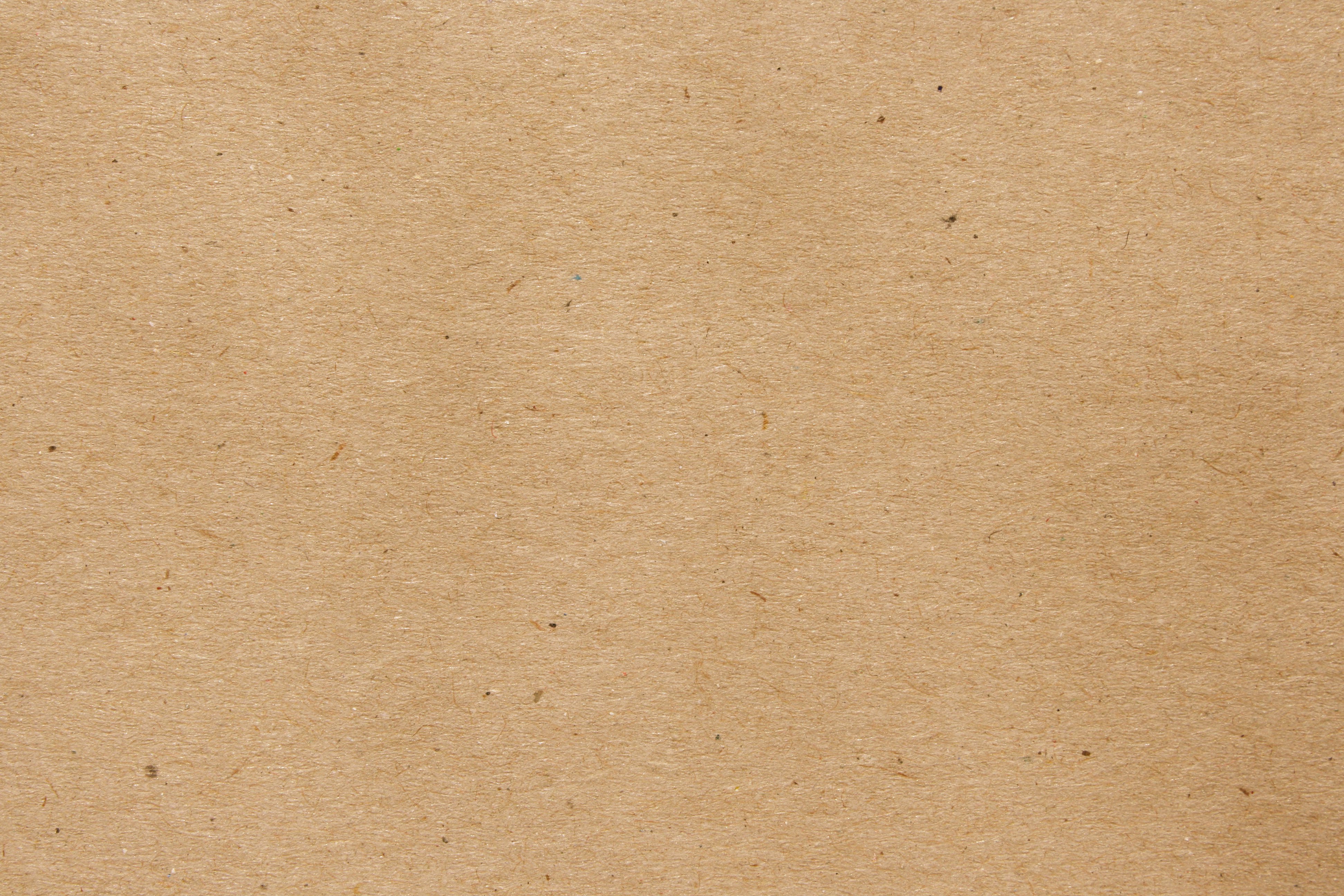 Light Brown or Tan Paper Texture with Flecks Picture | Free ...