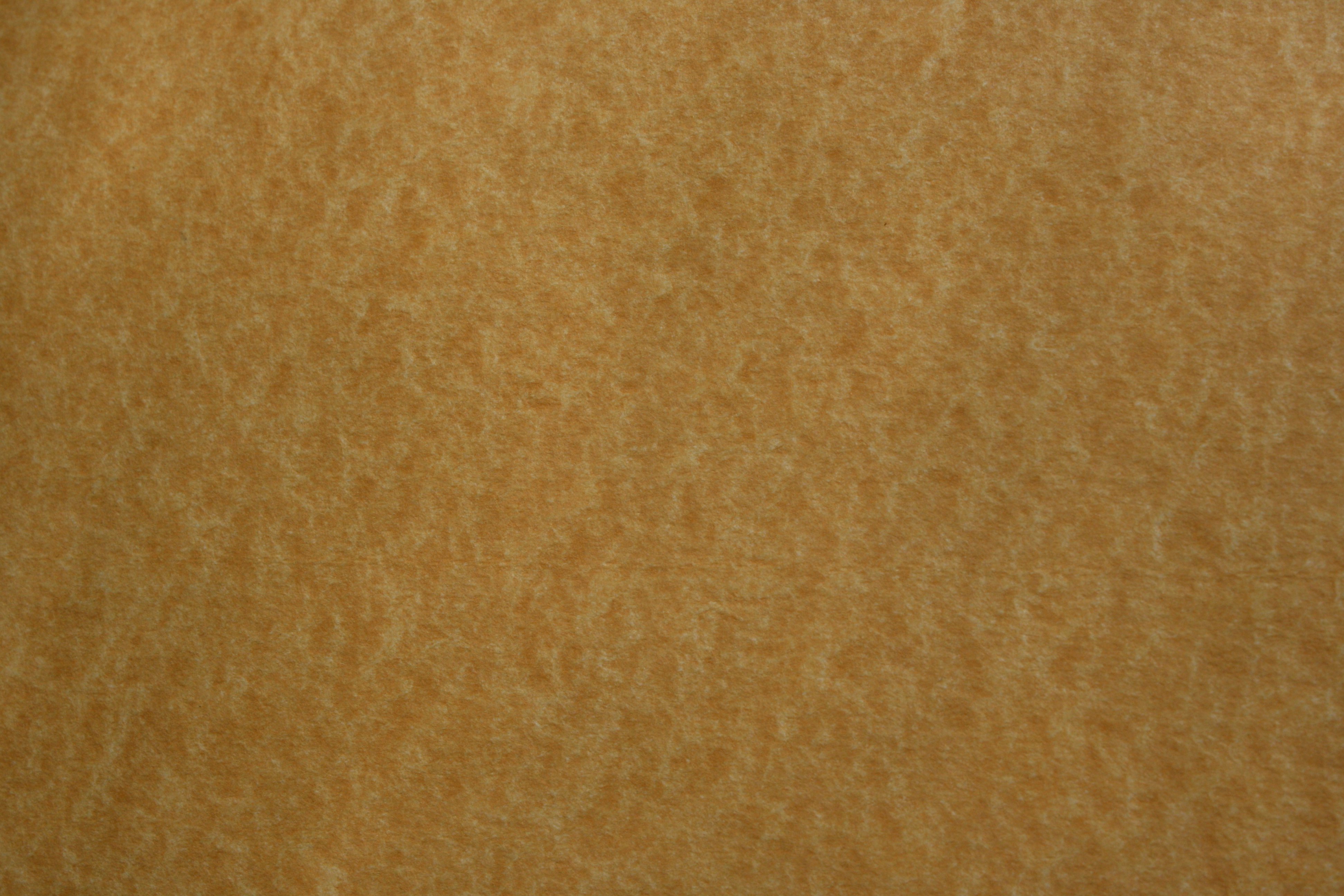 Parchment Paper Texture Picture | Free Photograph | Photos Public Domain