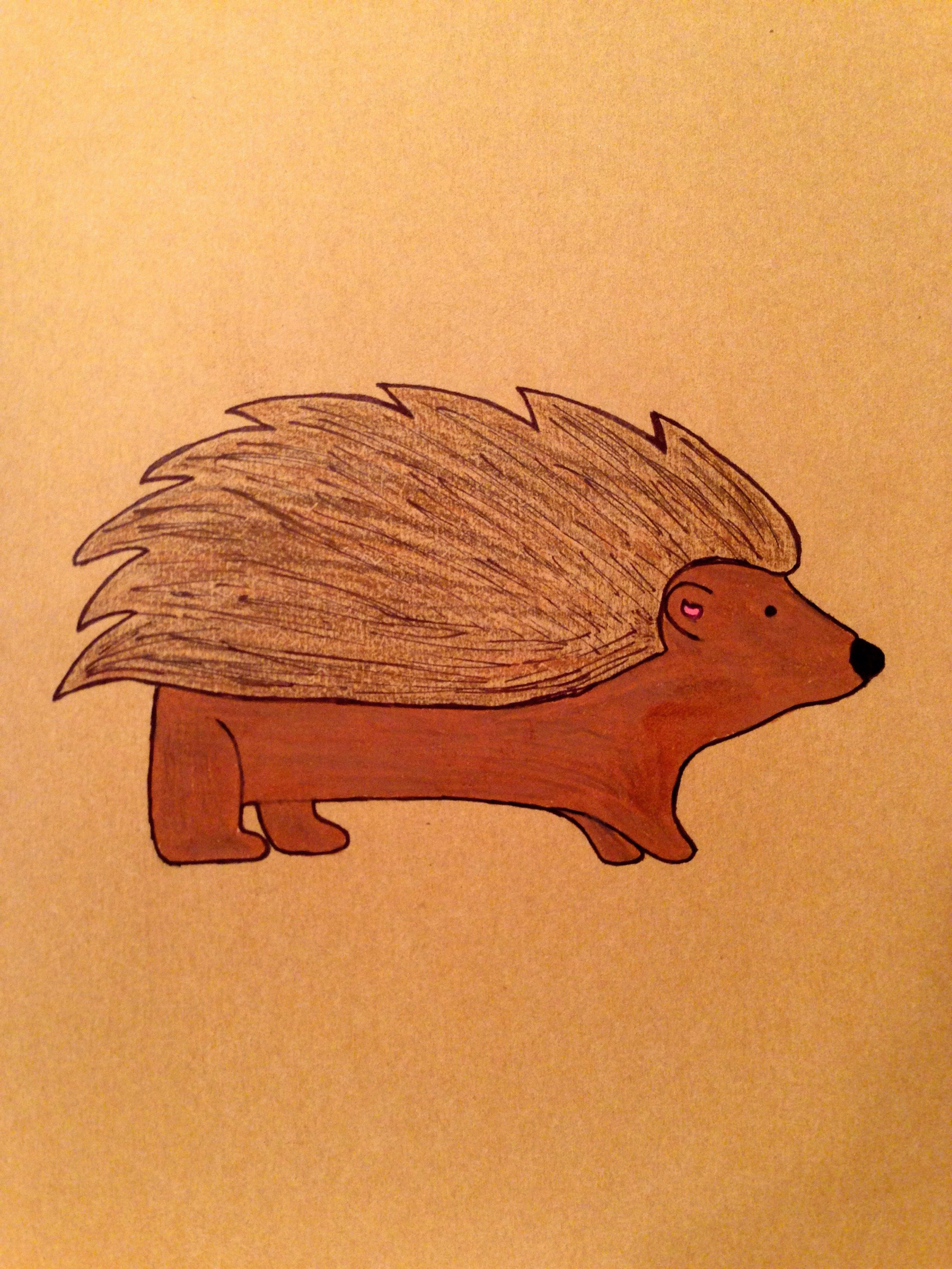 Brown Hedgehog Art Moleskine Cahier Notebook Hand Illustrated