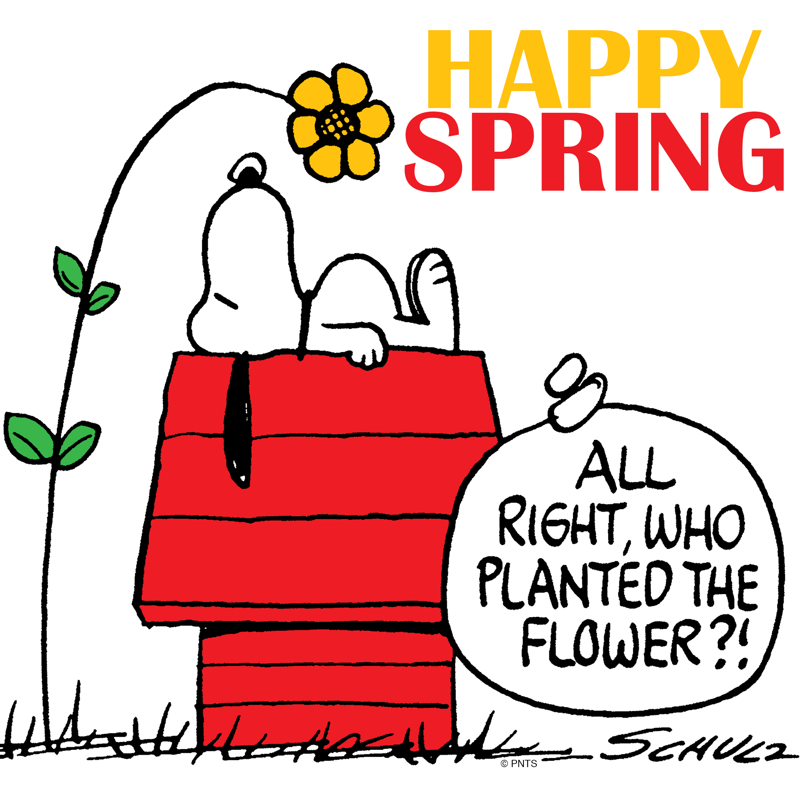 Spring Charlie Brown Clipart