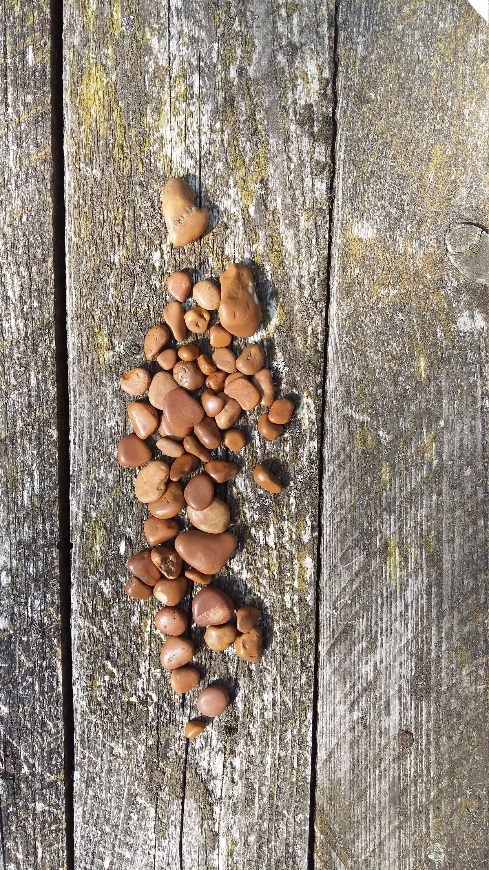 50 natural beach pebbles caramel brown small sea stone pebbles ...