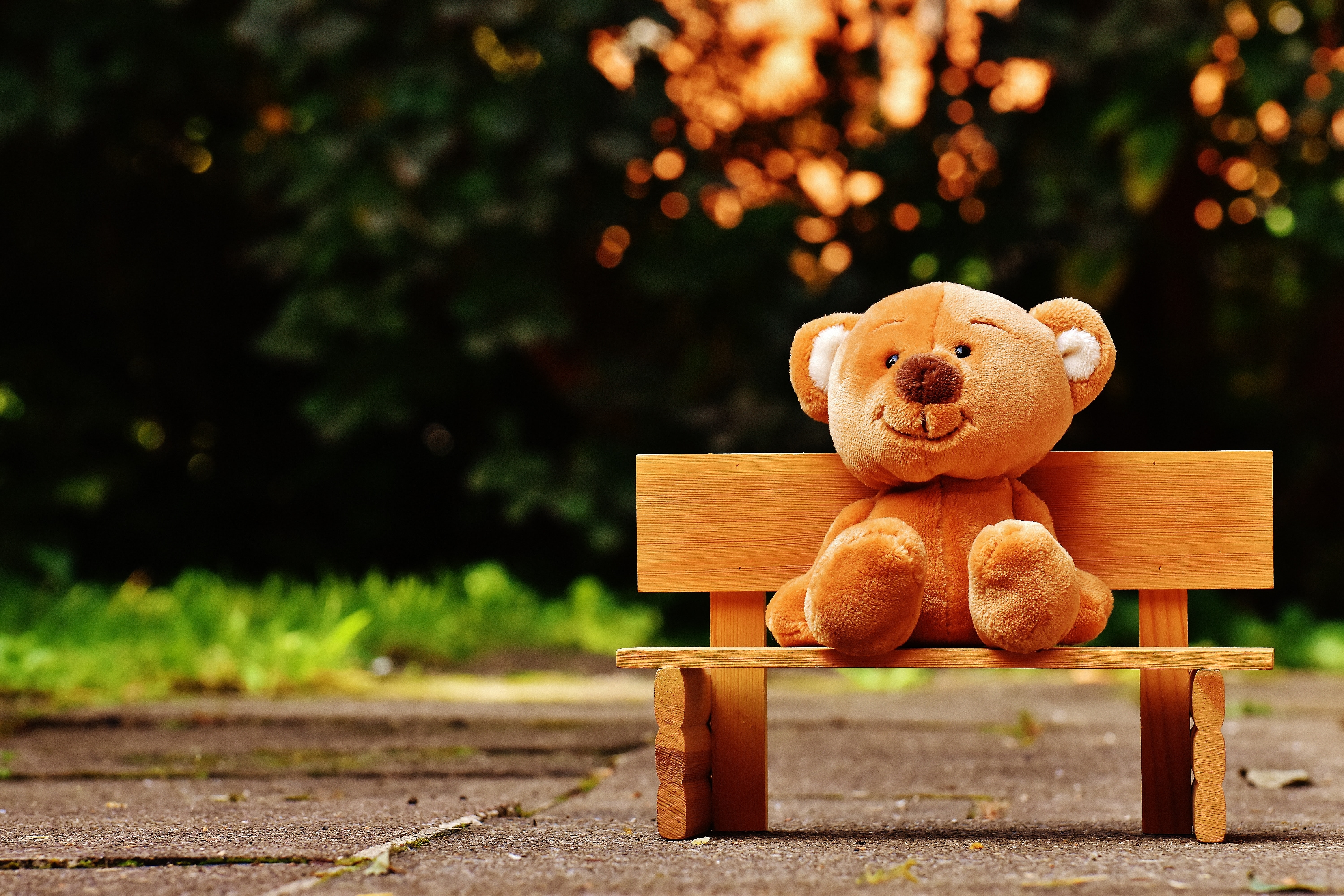 Brown teddy bear on brown wooden bench outside photo