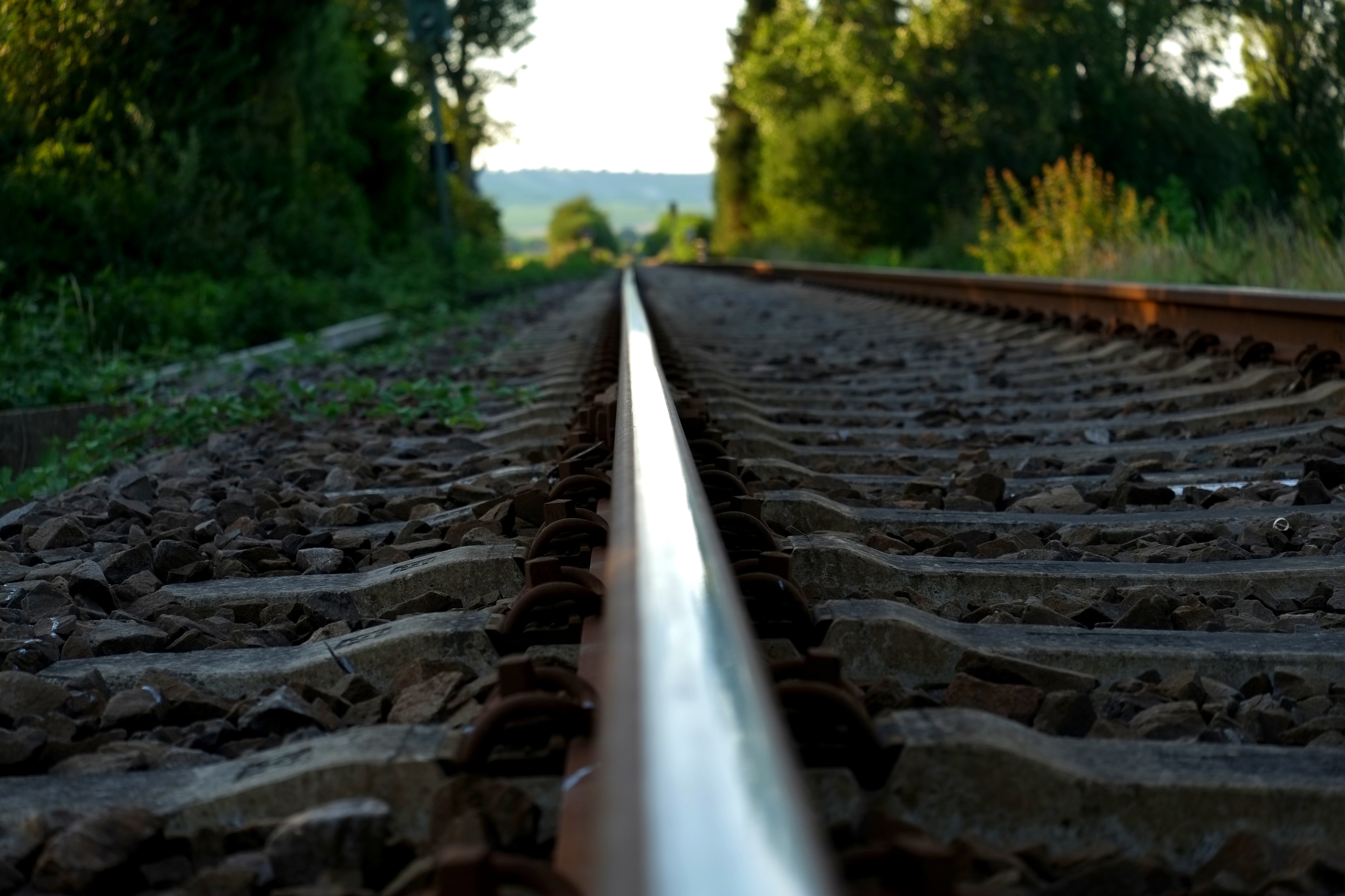 Brown Train Rail on Close Up Photo during Daytime, Blur, Railroad tracks, Vegetation, Travel, HQ Photo