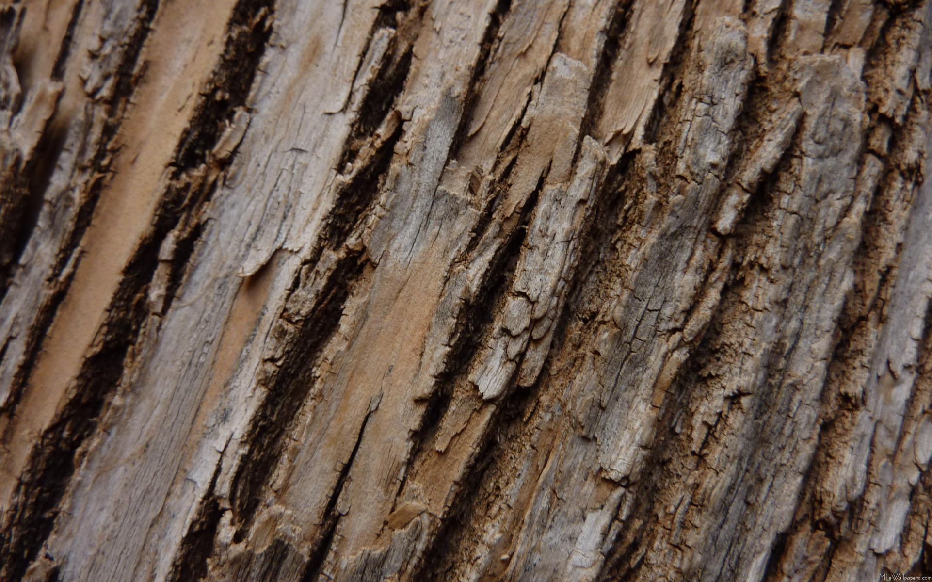 MLeWallpapers.com - Tree Bark I