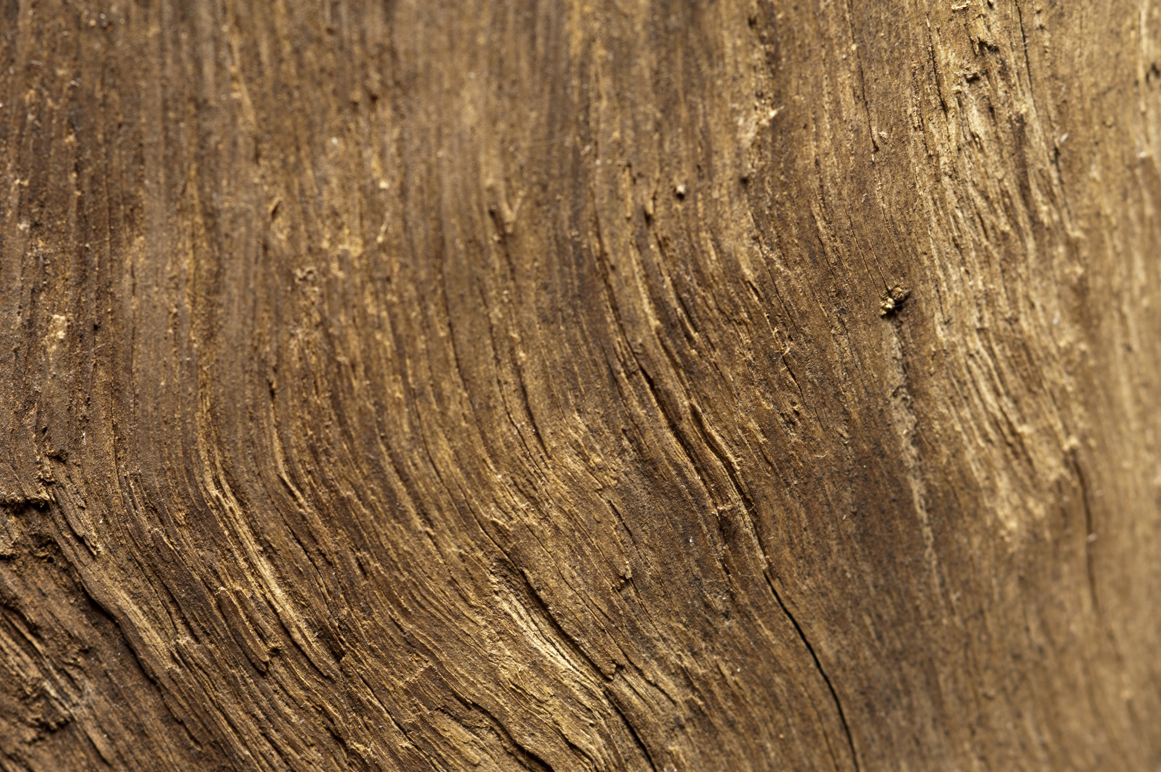 Image of Background texture of rough wood | Freebie.Photography