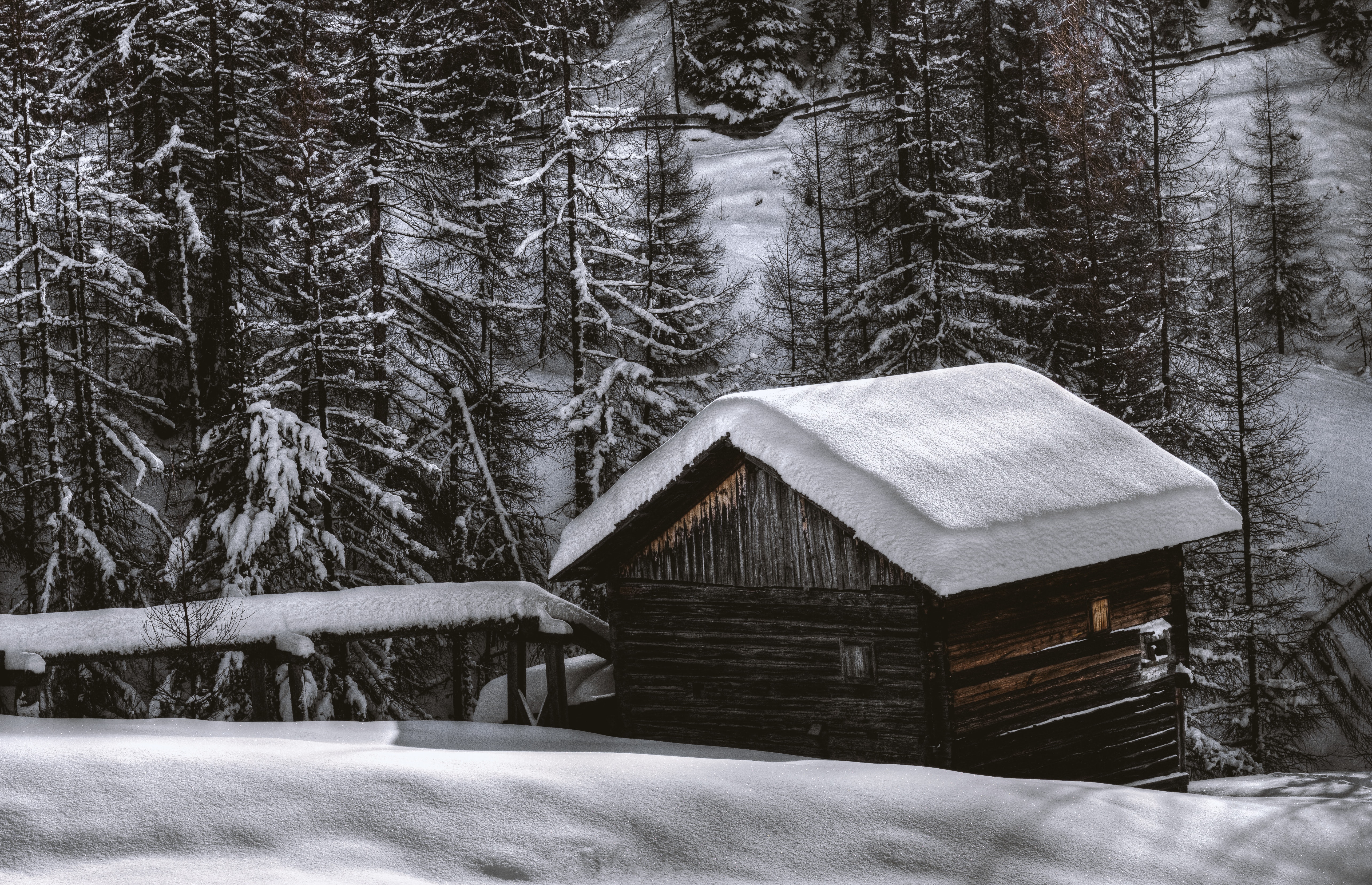 Brown wooden barn during snow photo