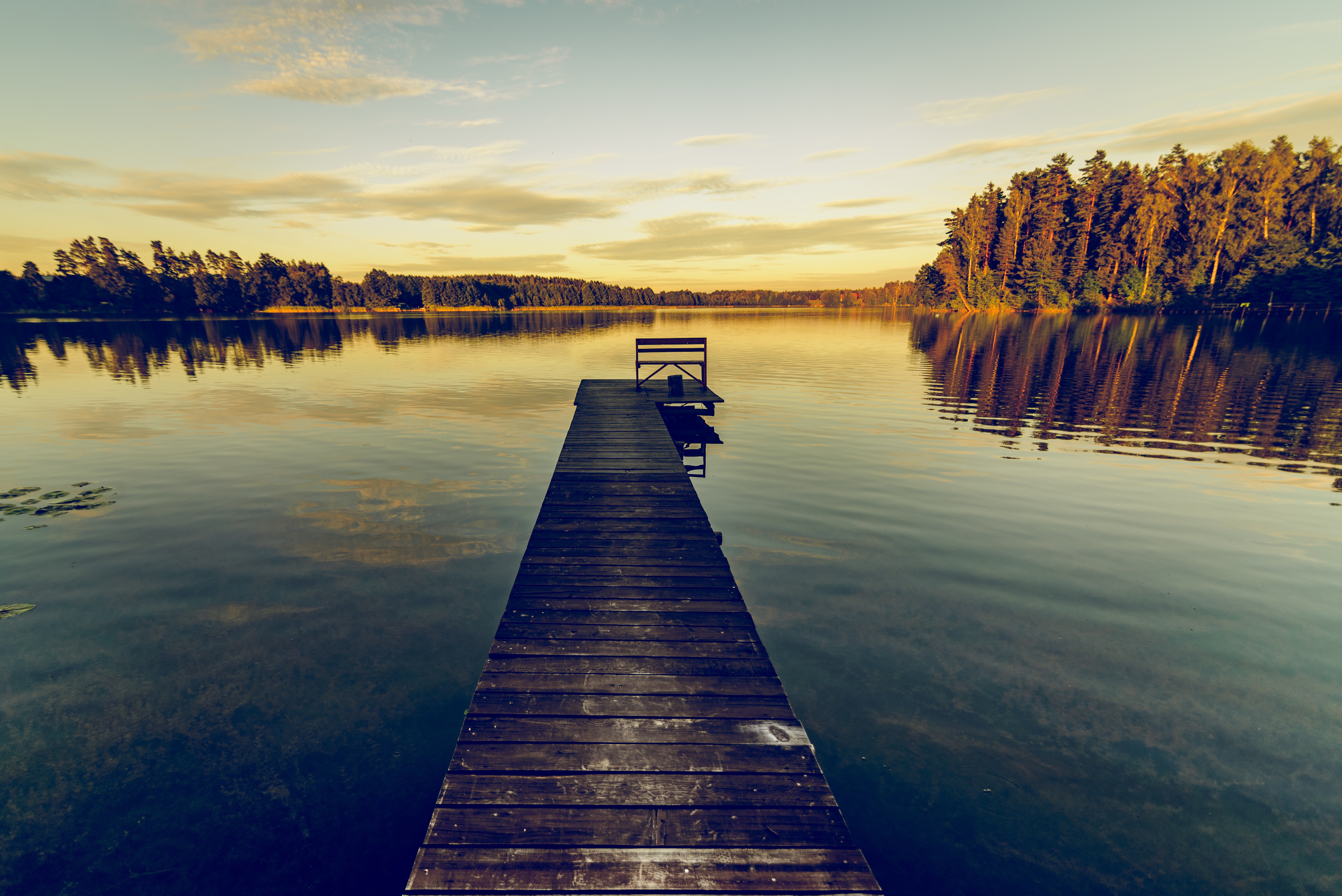 Brown wooden dock during daylight photo