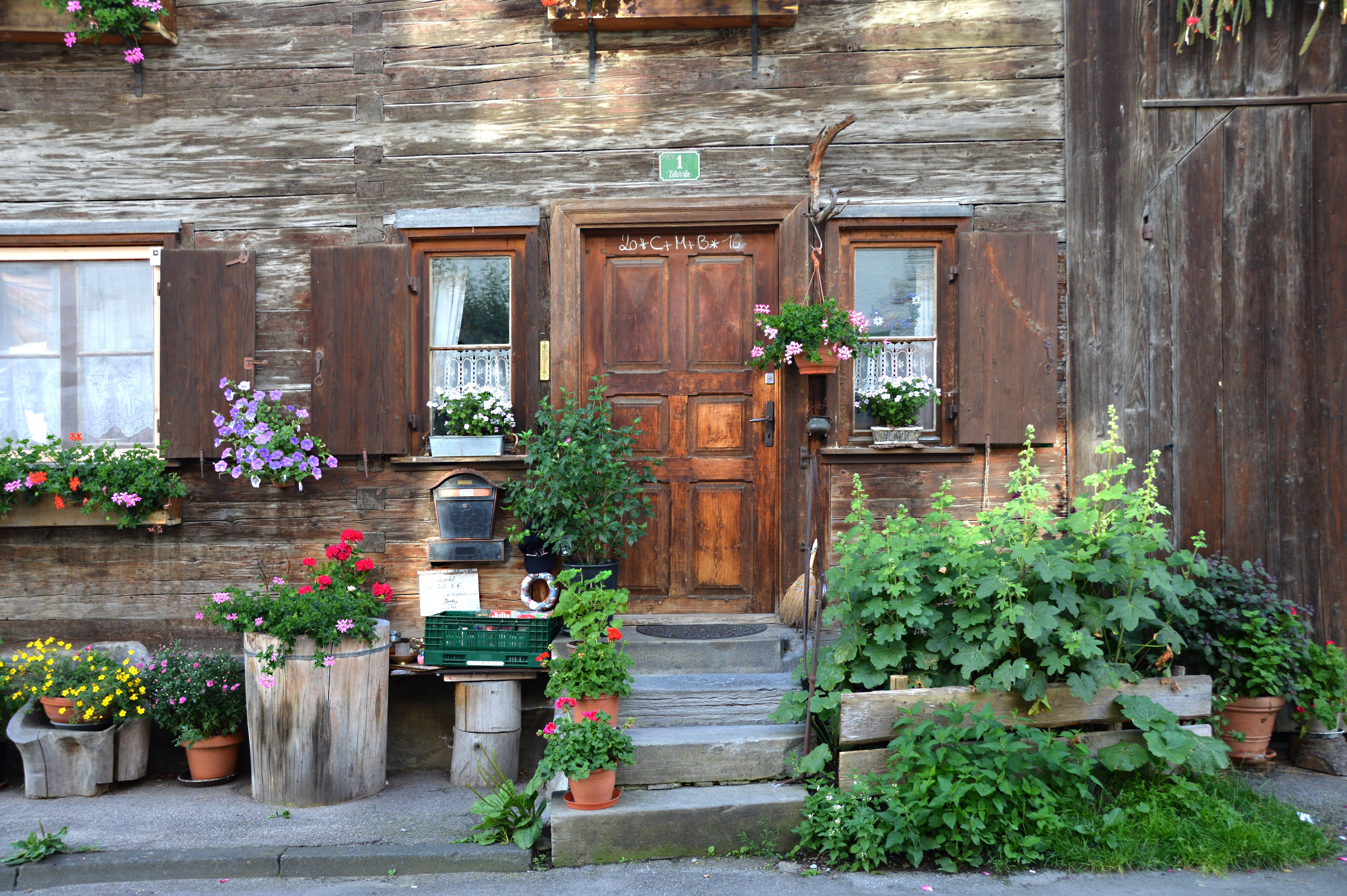 Brown Wooden Door Near Green Plant Outside the House, Architecture, Door, Flowers, House, HQ Photo