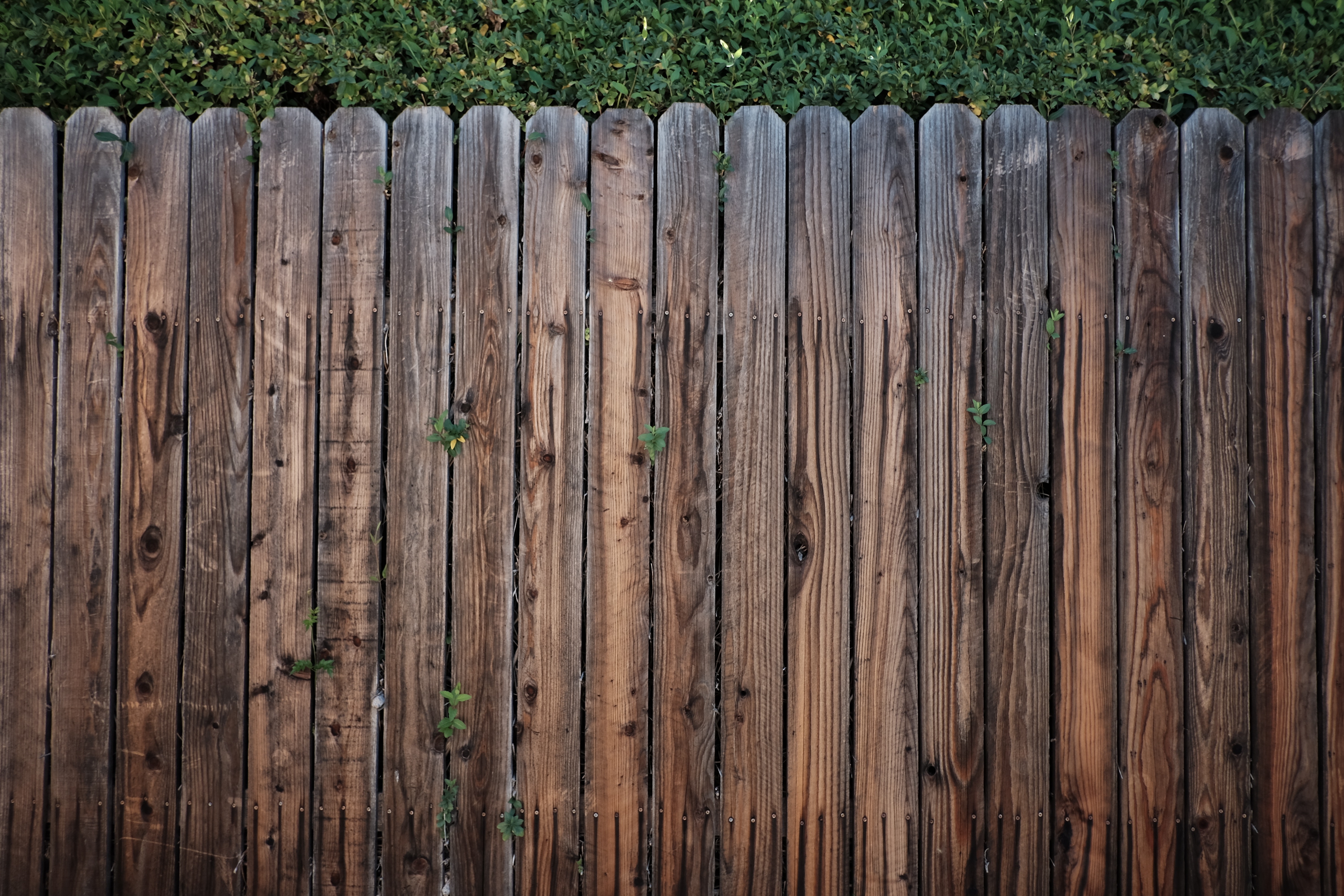 Brown wooden fence photo