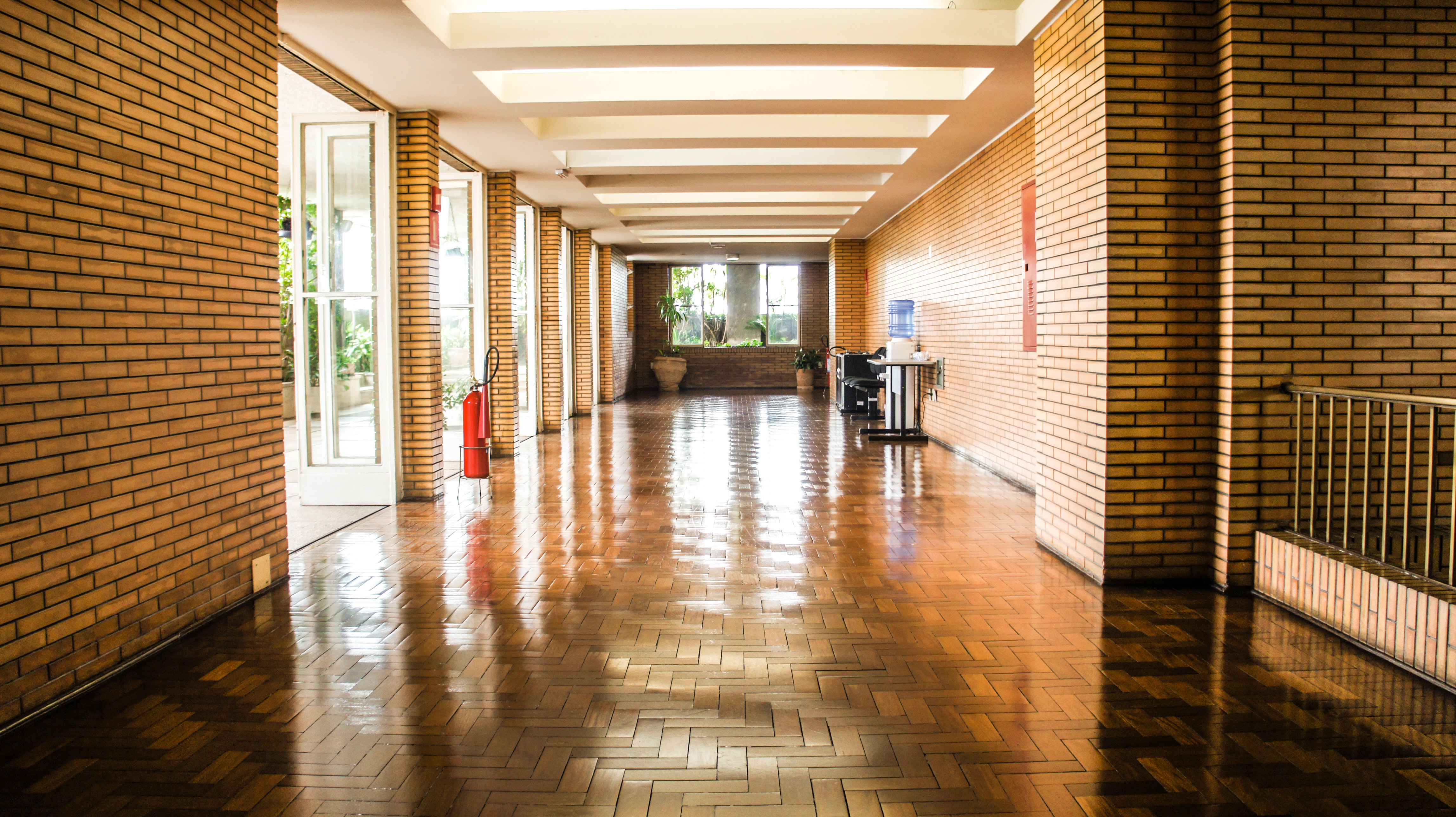 Brown Wooden Flooring Hallway, Architecture, Window, Shiny, Plants, HQ Photo