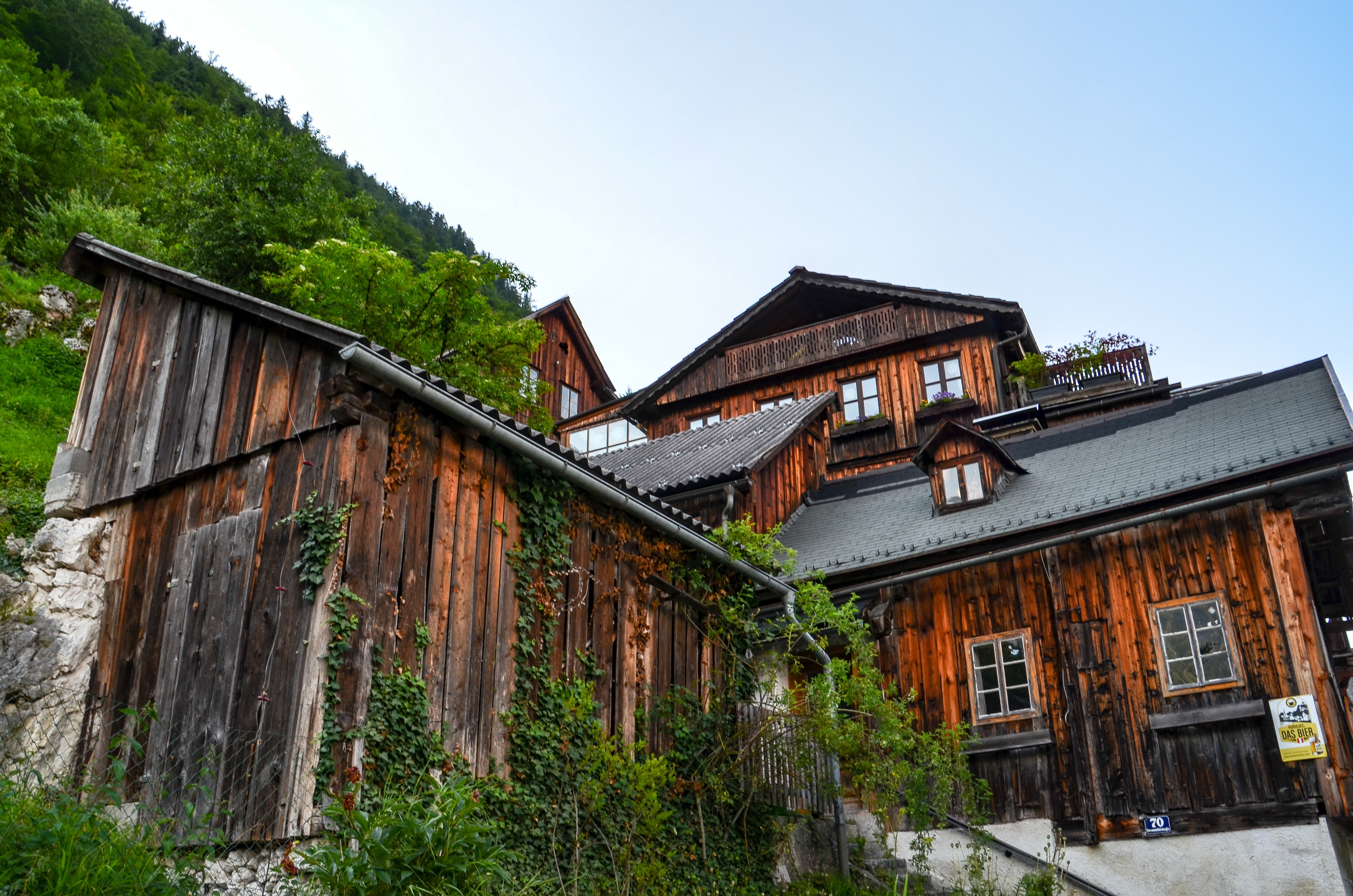Brown wooden house near mountain with green leaf trees photo