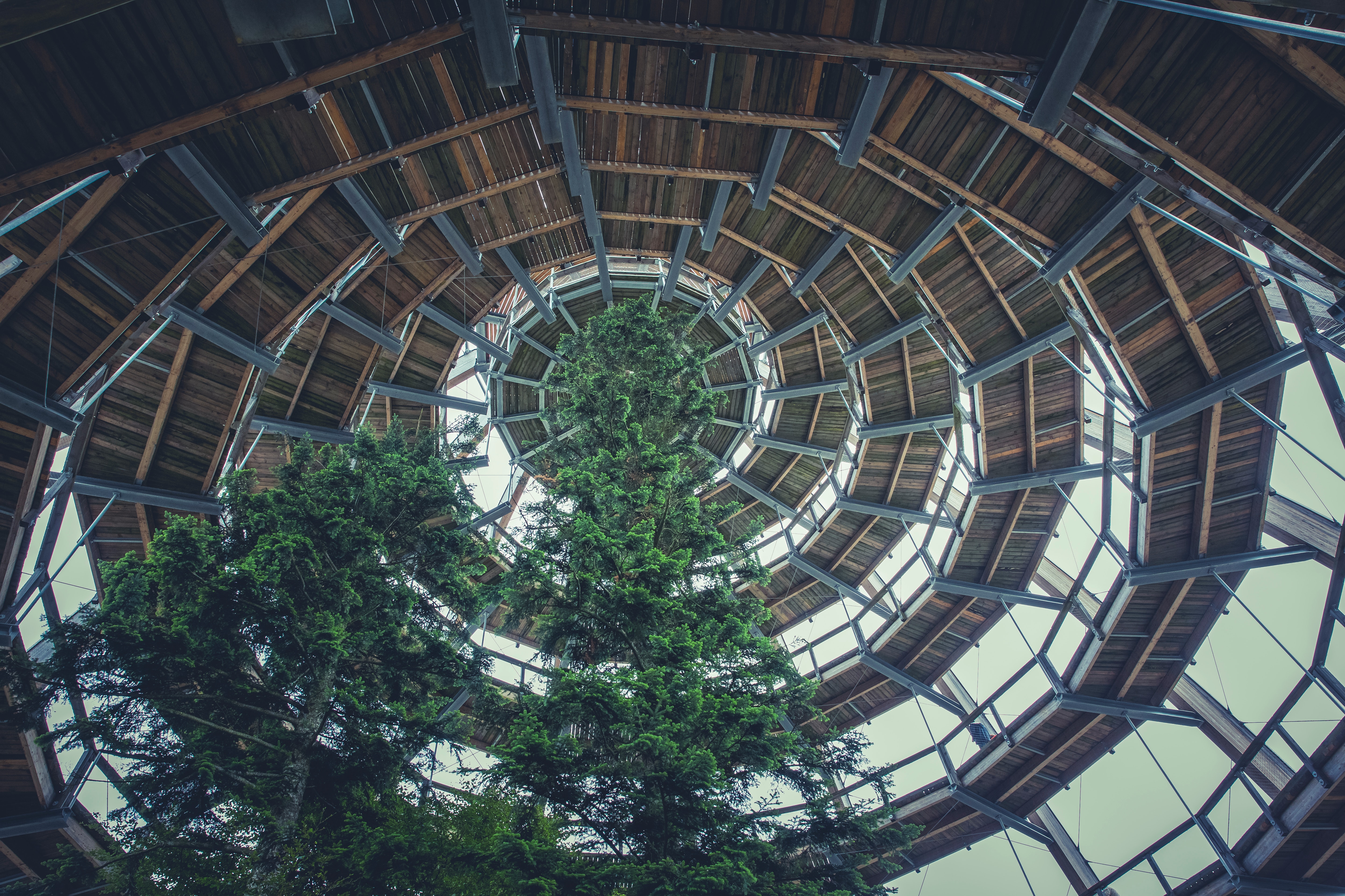 Brown wooden spiral dome building with green tree photo