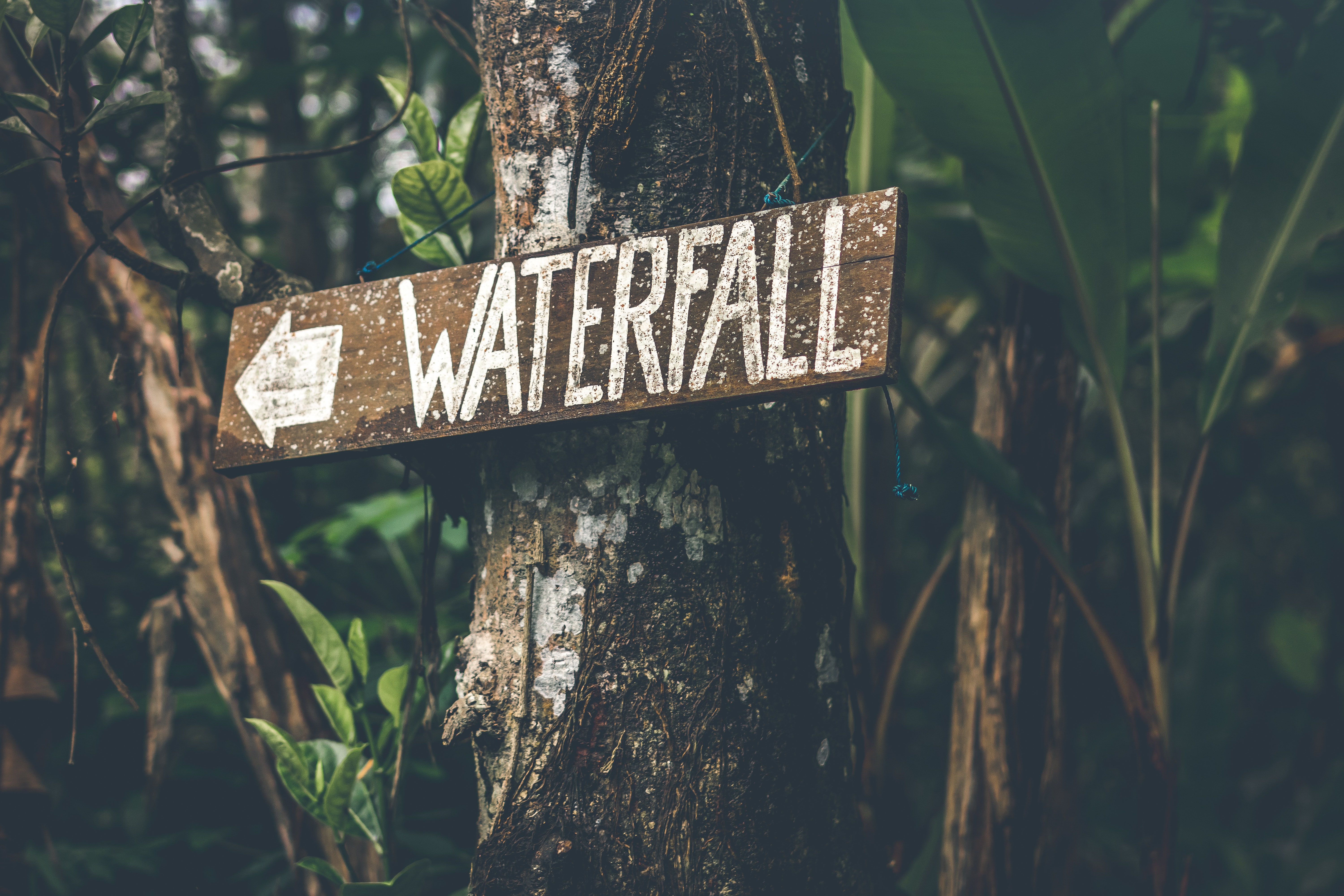 Brown wooden waterfall direction sign placed on brown tree bark photo