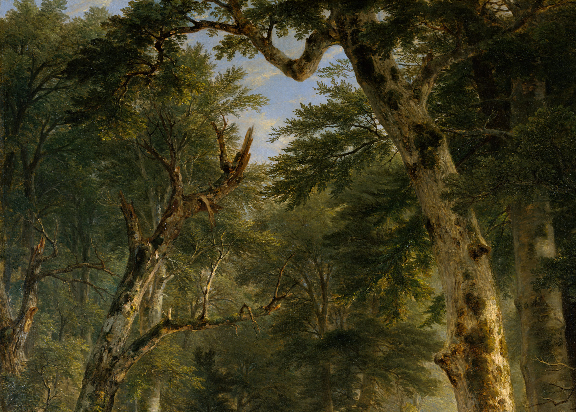 In the Woods | Asher Brown Durand | 95.13.1 | Work of Art ...