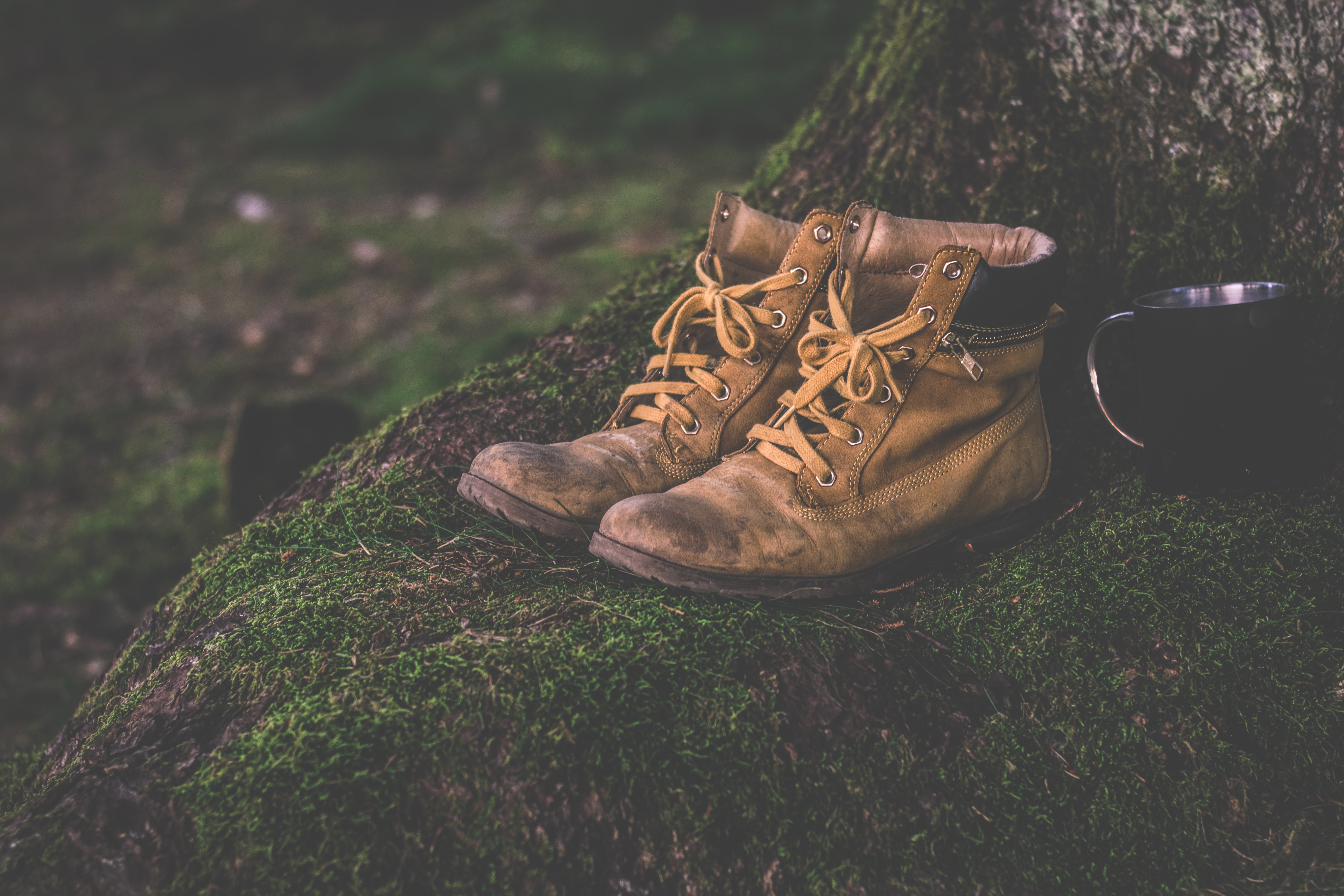 Free photo: Brown Work Boots - Boots, People, Wood - Free Download - Jooinn