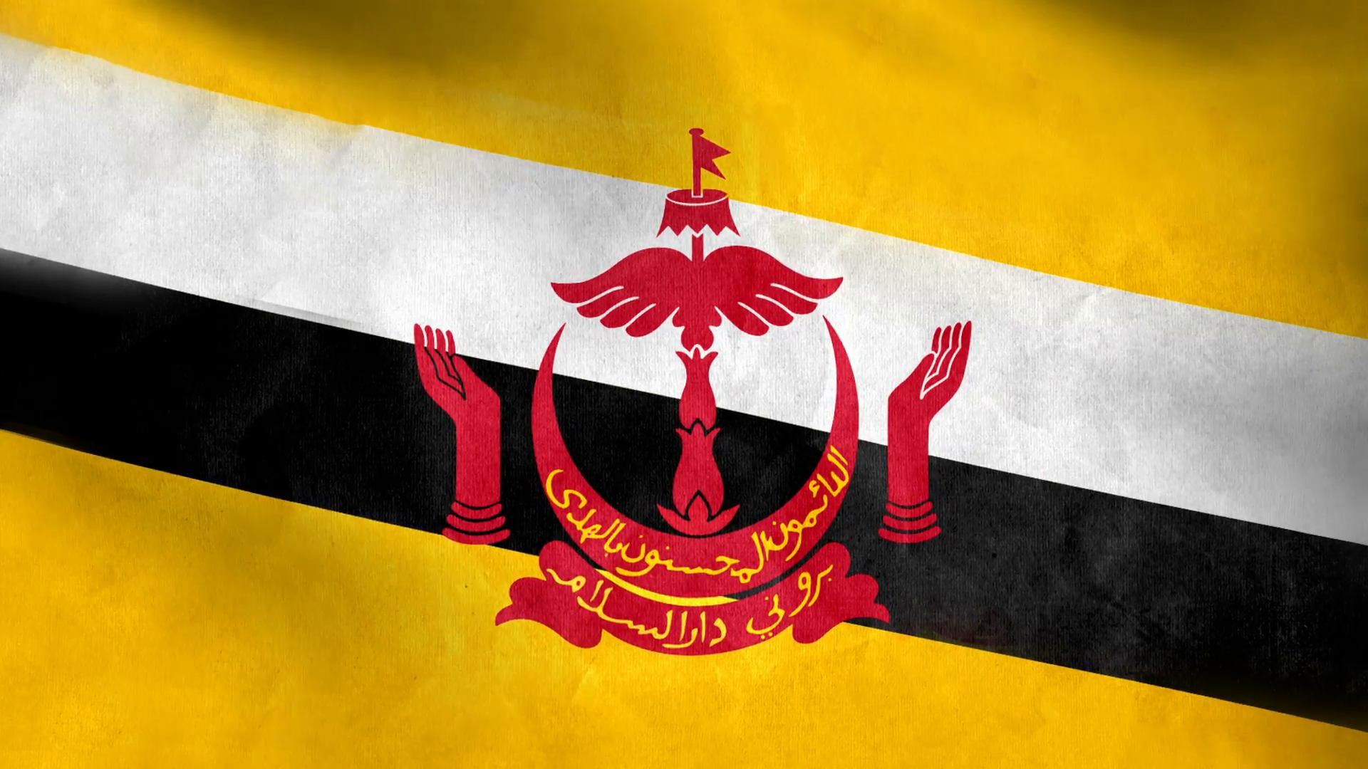 National flag of Brunei grunge background Motion Background ...