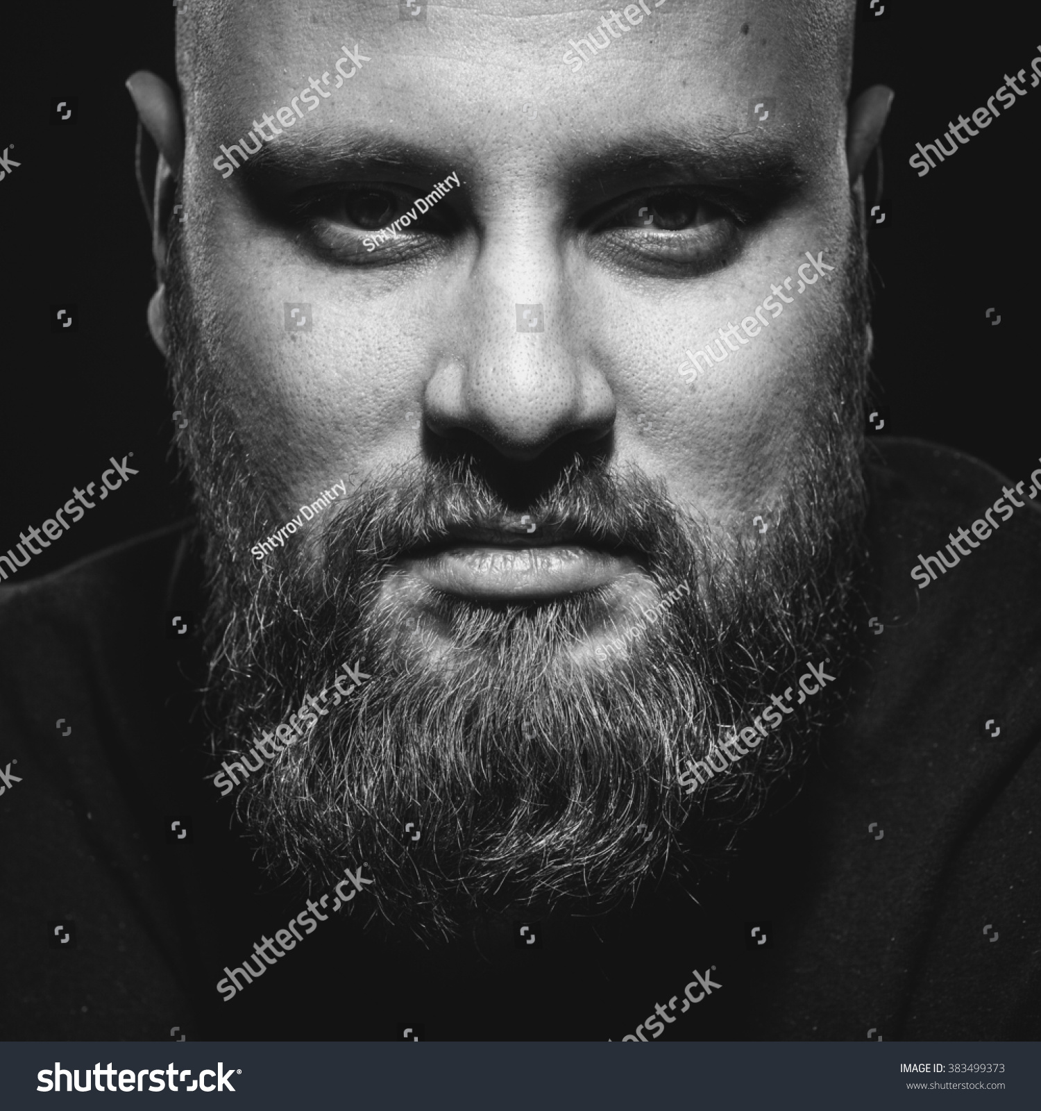 Portrait Brutal Man Beard Stock Photo (Download Now) 383499373 ...