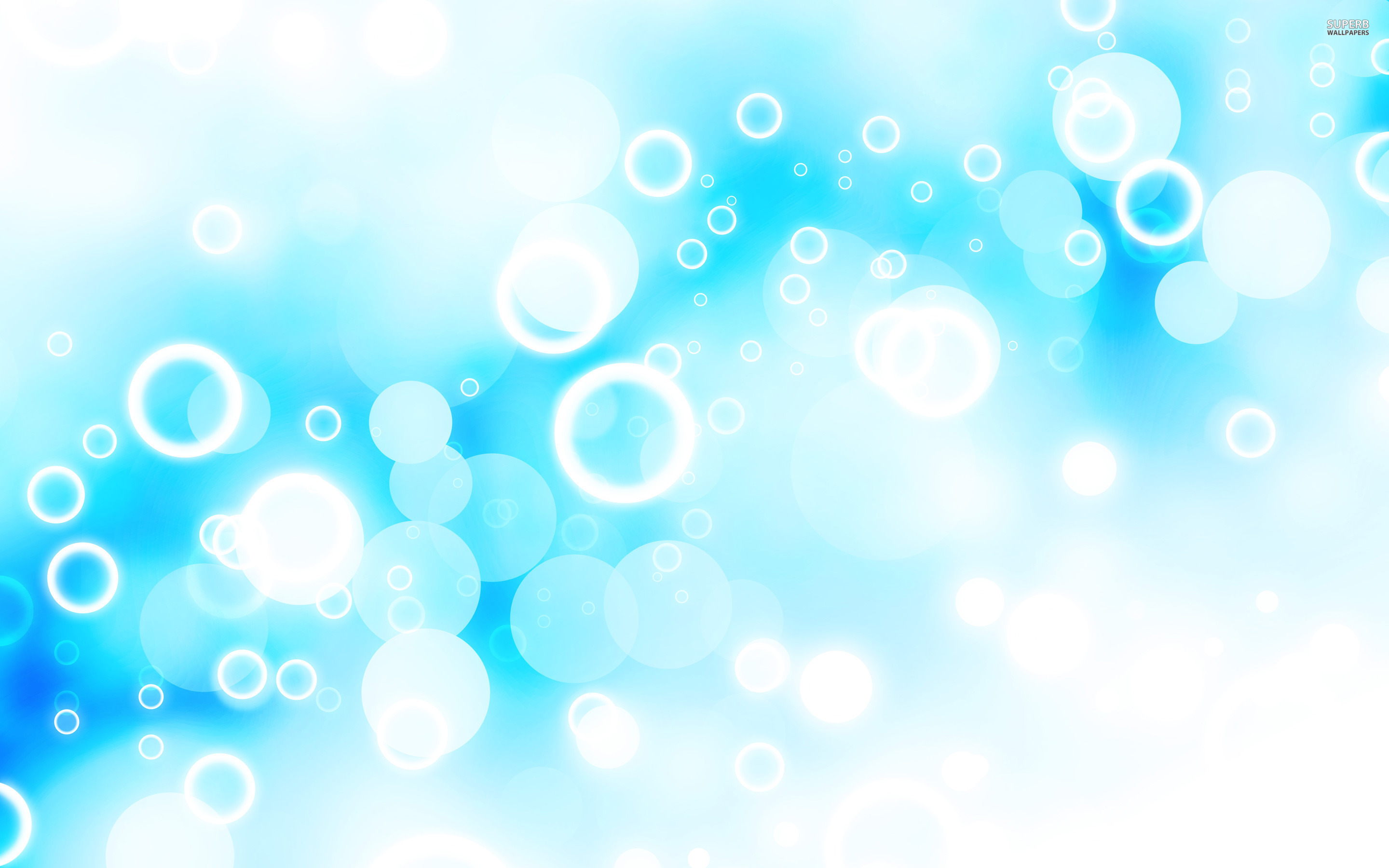 Bubbles Wallpaper - BDFjade