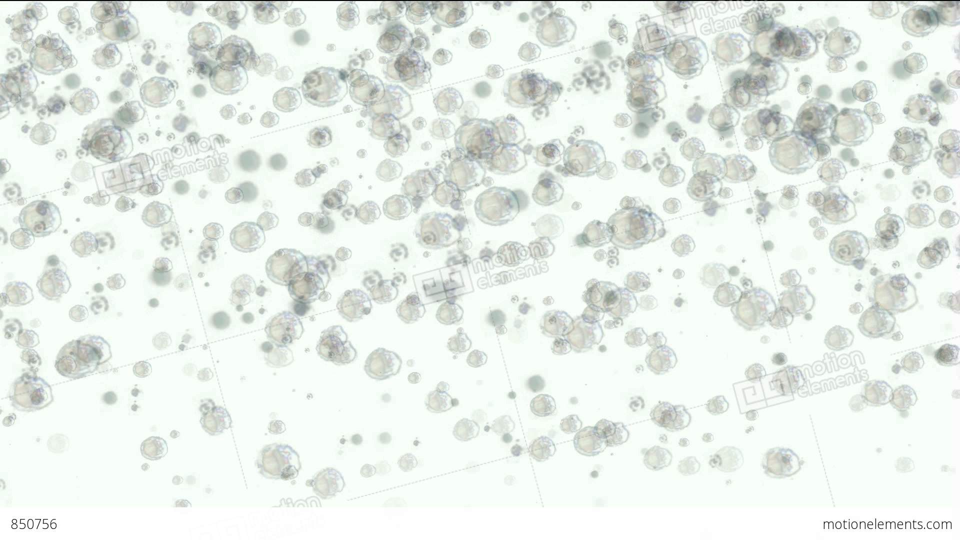 Flying Bubbles And Blisters,waterdrop Stock Animation | 850756