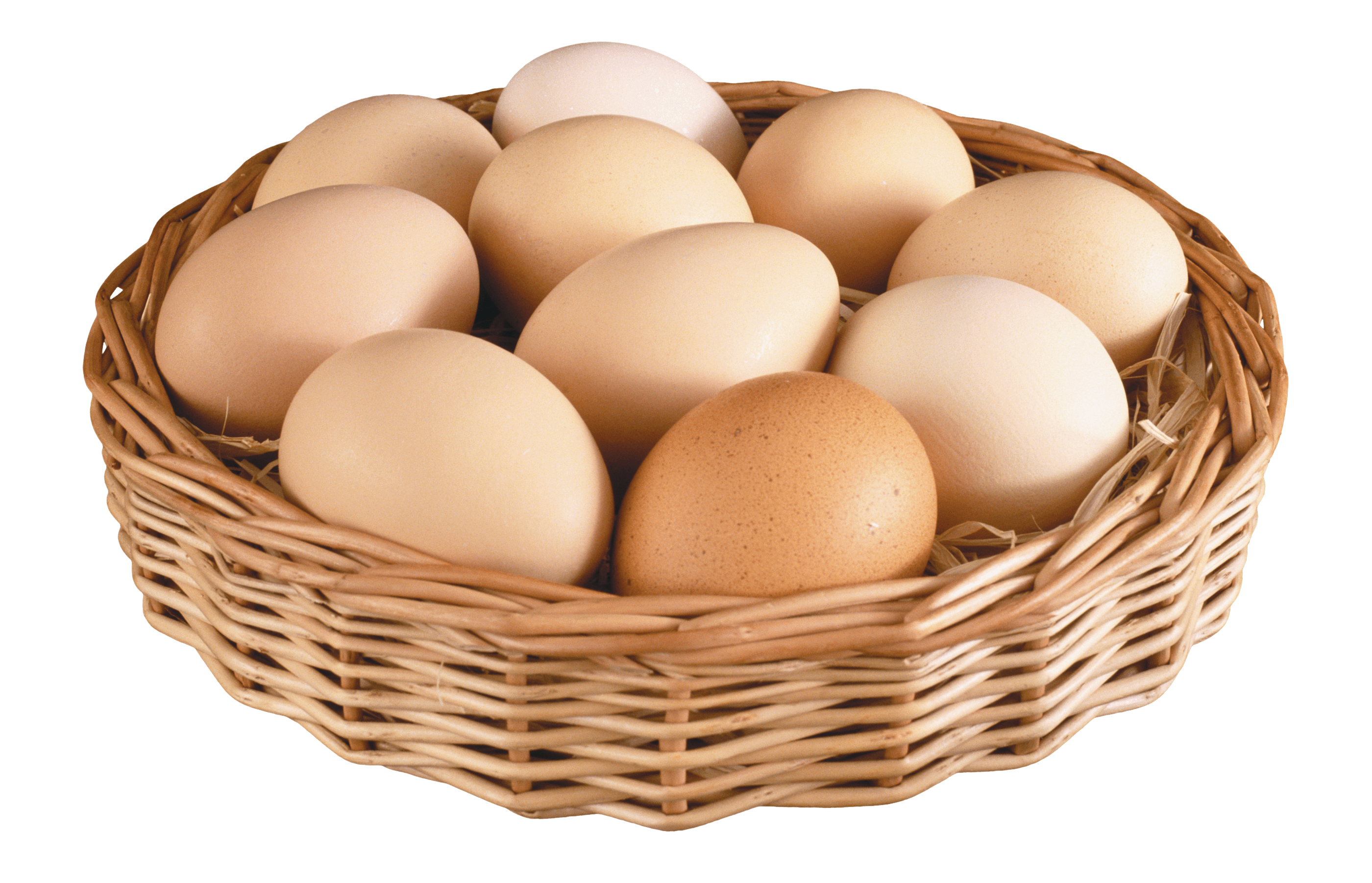 Download Egg Free PNG photo images and clipart | FreePNGImg