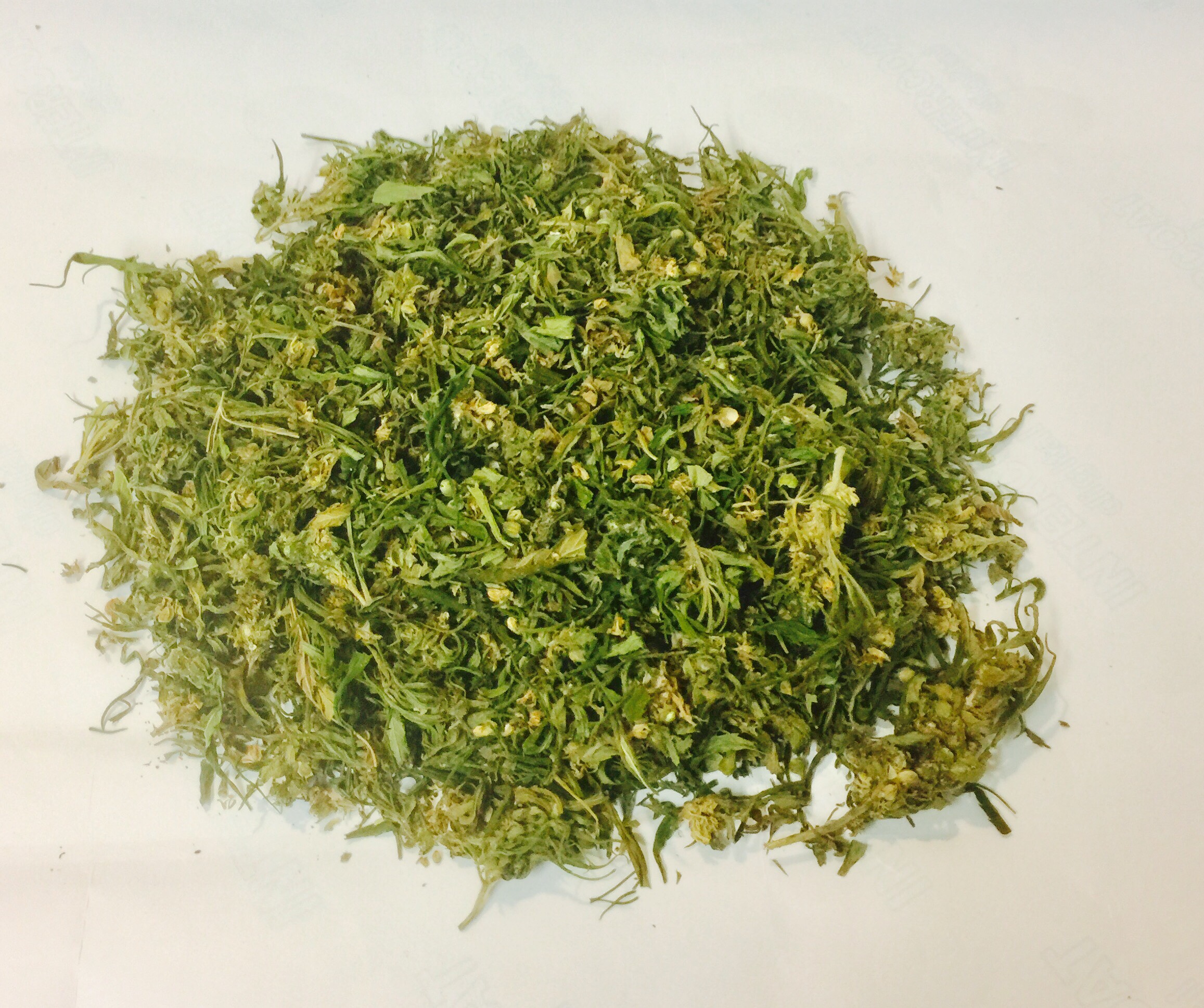 Hanftee Mischen Flower Buds Leaves Tea | Hempcooltura