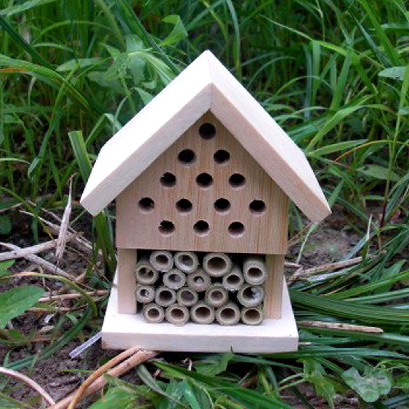 Make Your Own Insect Bug House