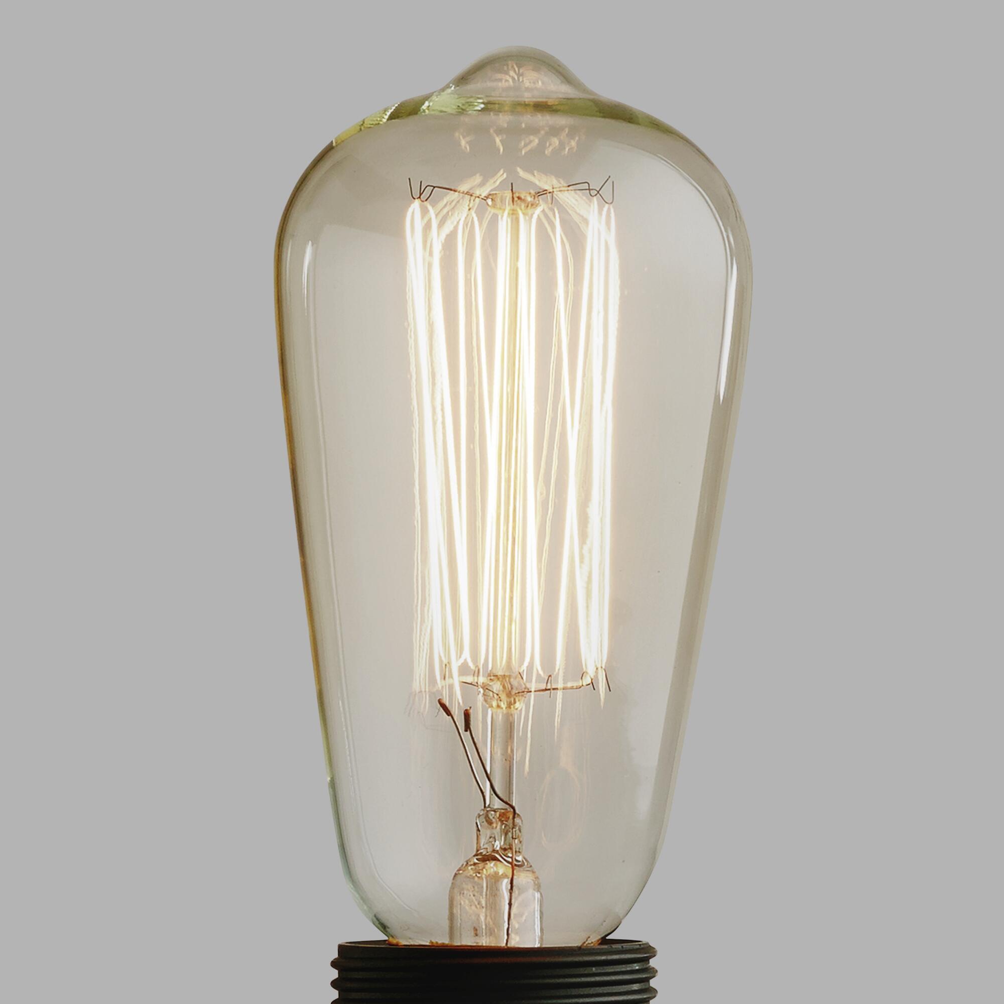 Edison Filament Light Bulb | World Market