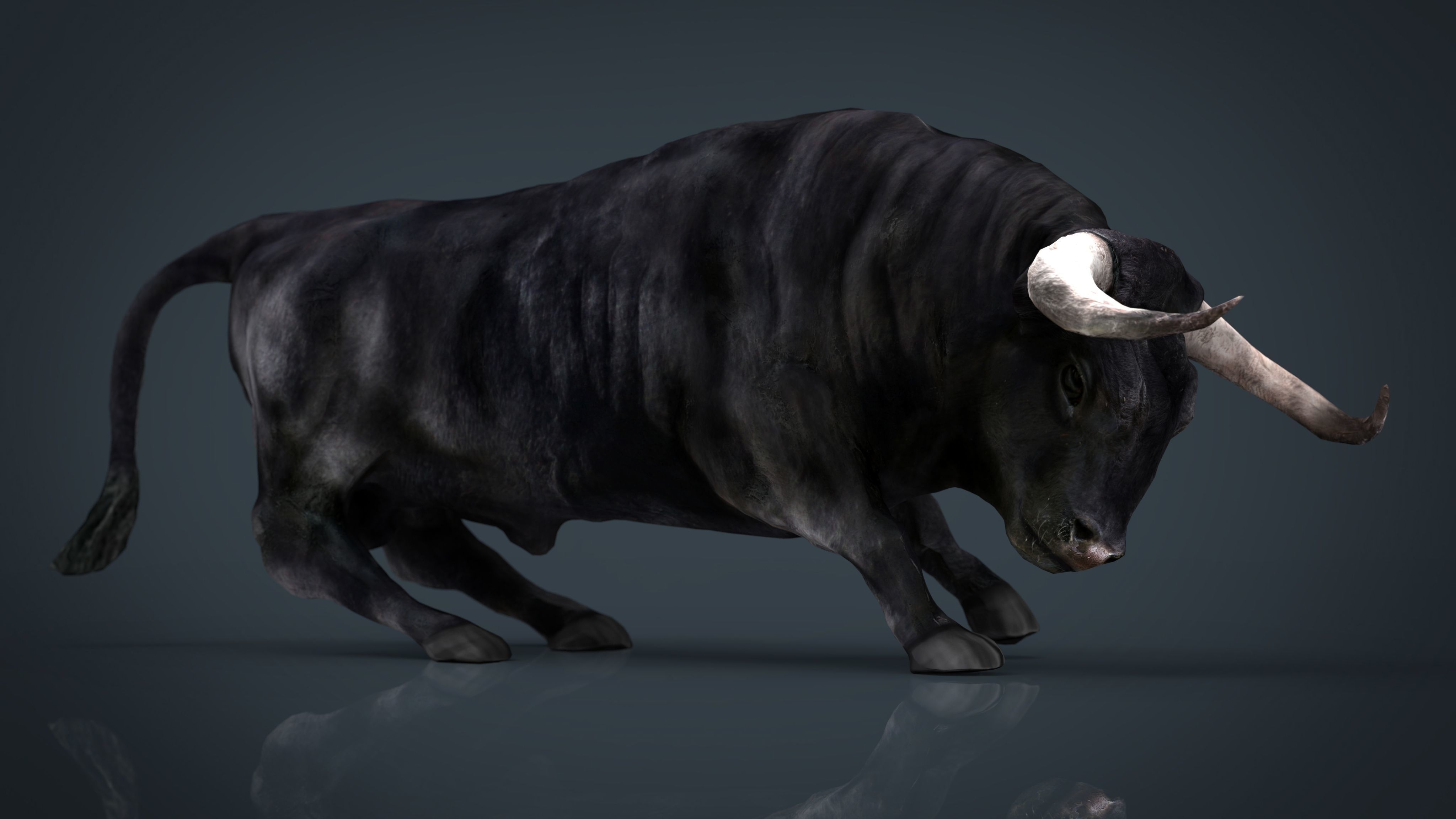 3D asset Spanish Bull | CGTrader