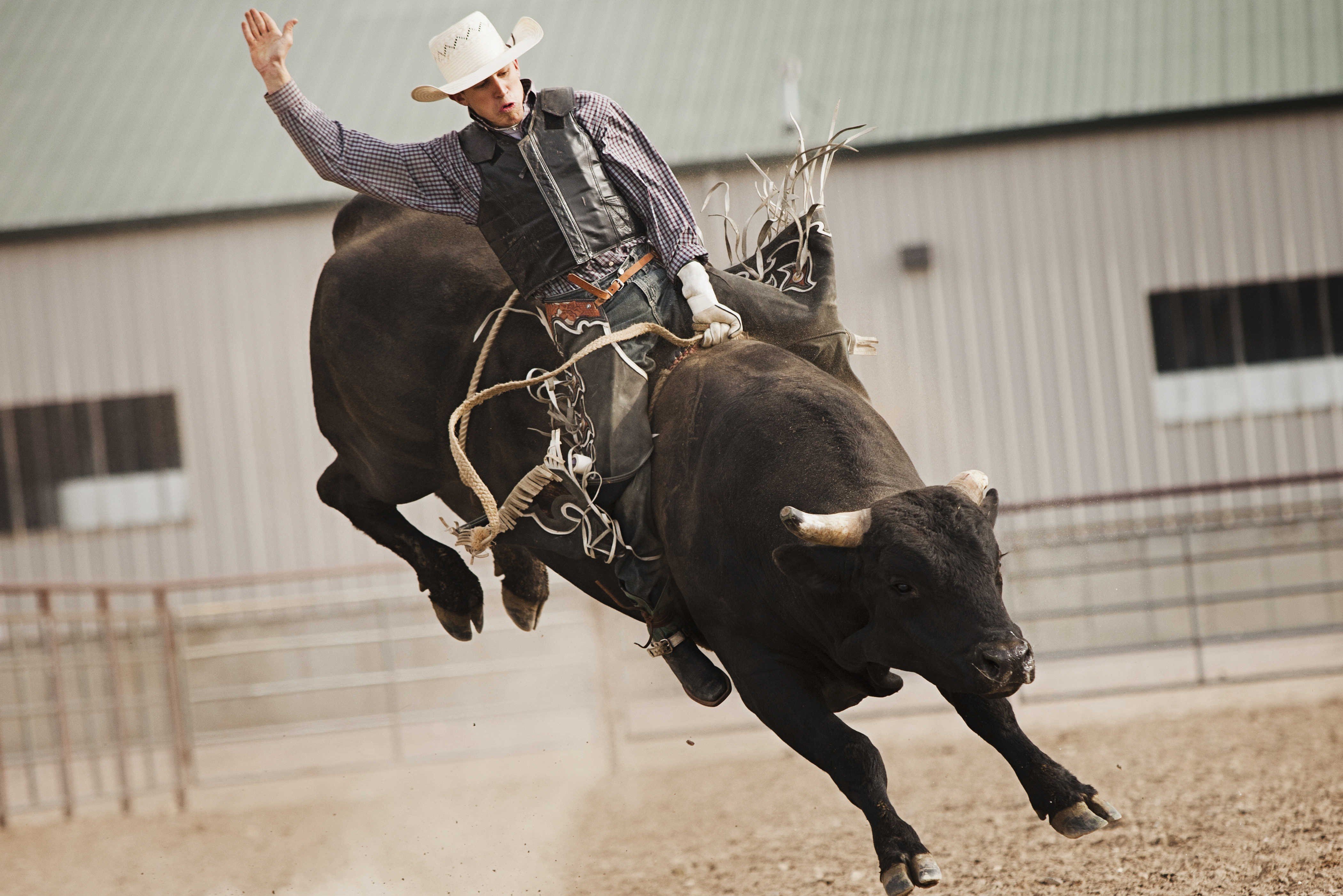 BULL RIDING bullrider cowboy western cow extreme rodeo d wallpaper ...