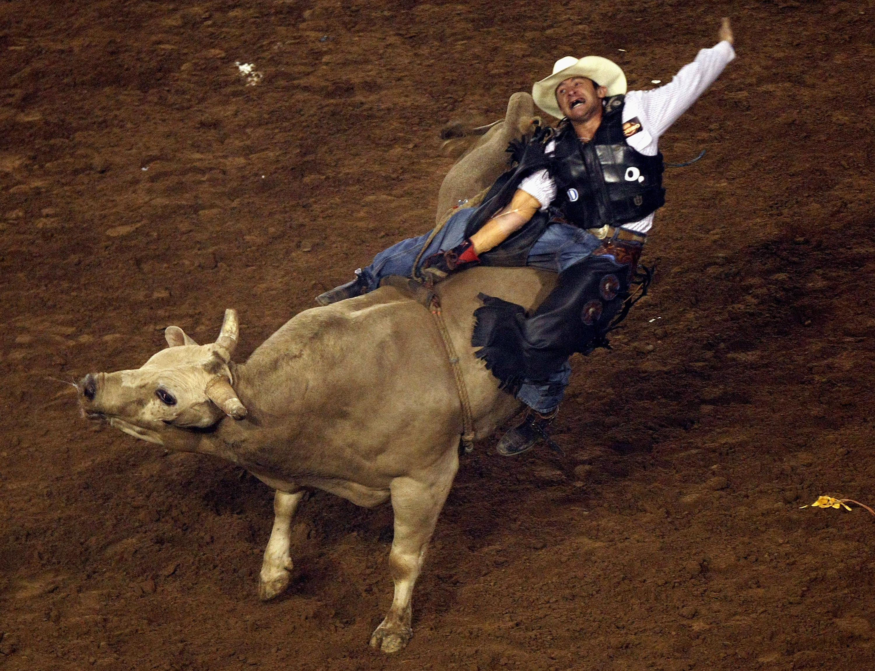 The History of Bull-Riding-“Who's Bright Idea Was This?!”