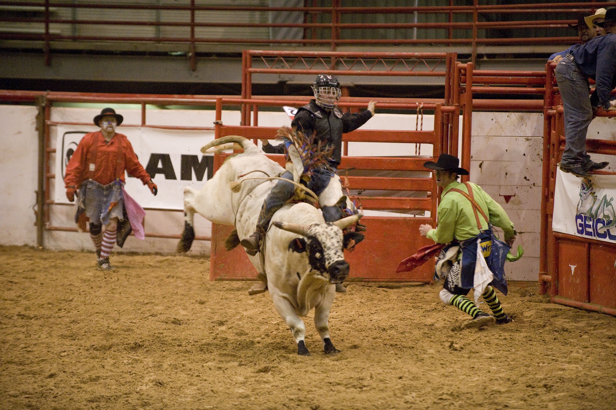 Bull rider photo