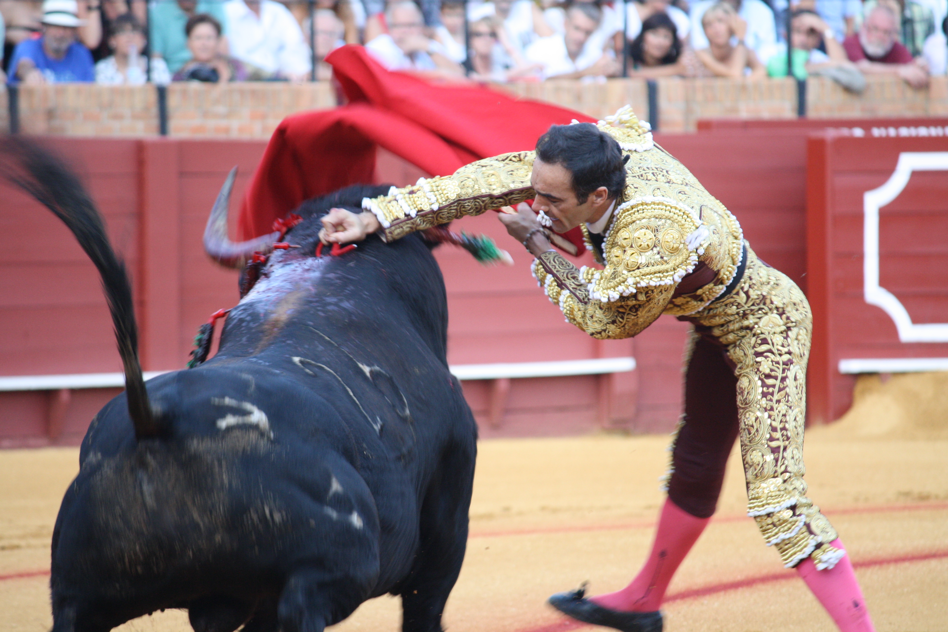 The Bullfight and the Ban (and the Spanish Economy) | The Last Arena