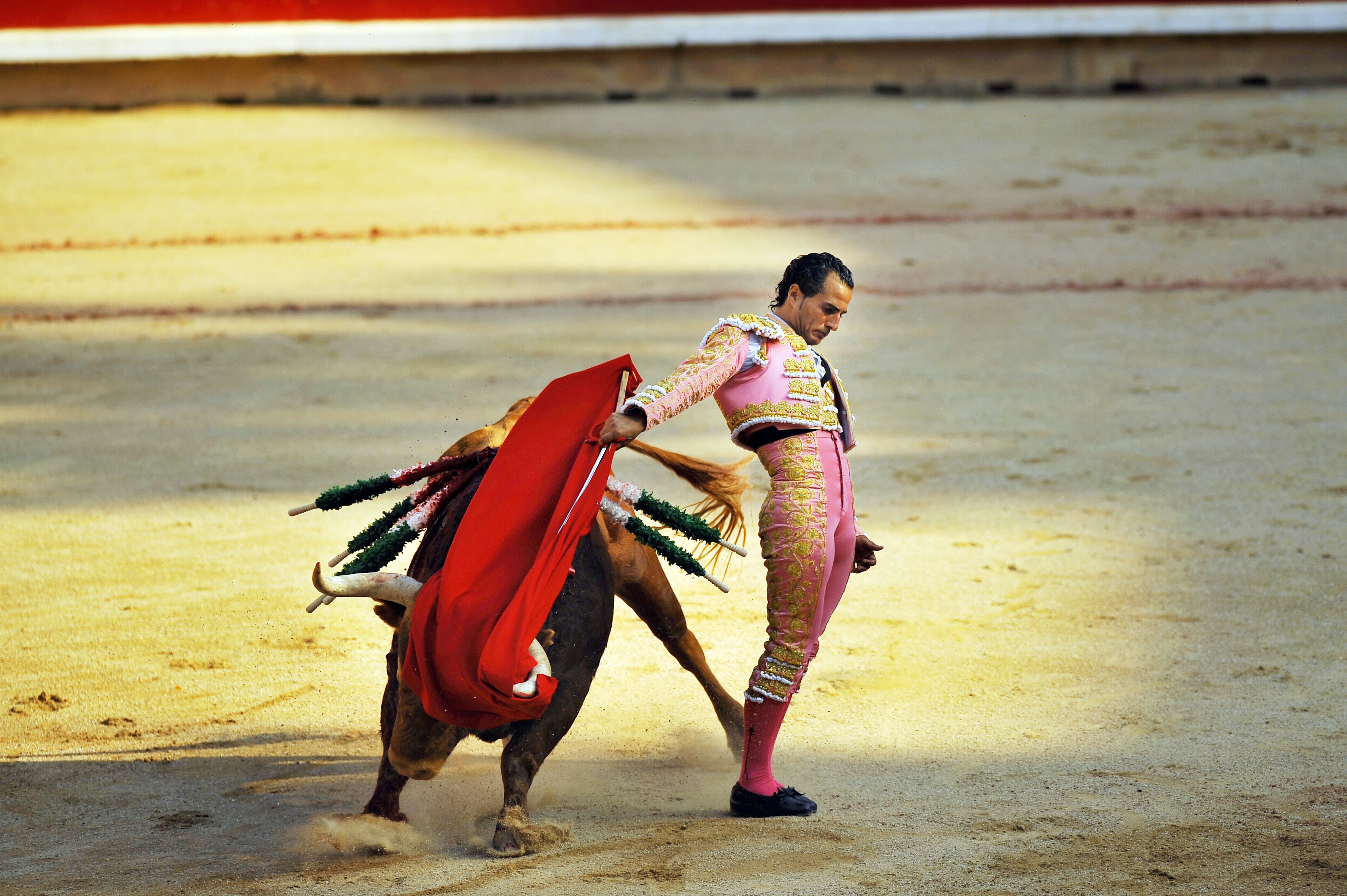 The death of a matador will, paradoxically, make bullfighting more ...