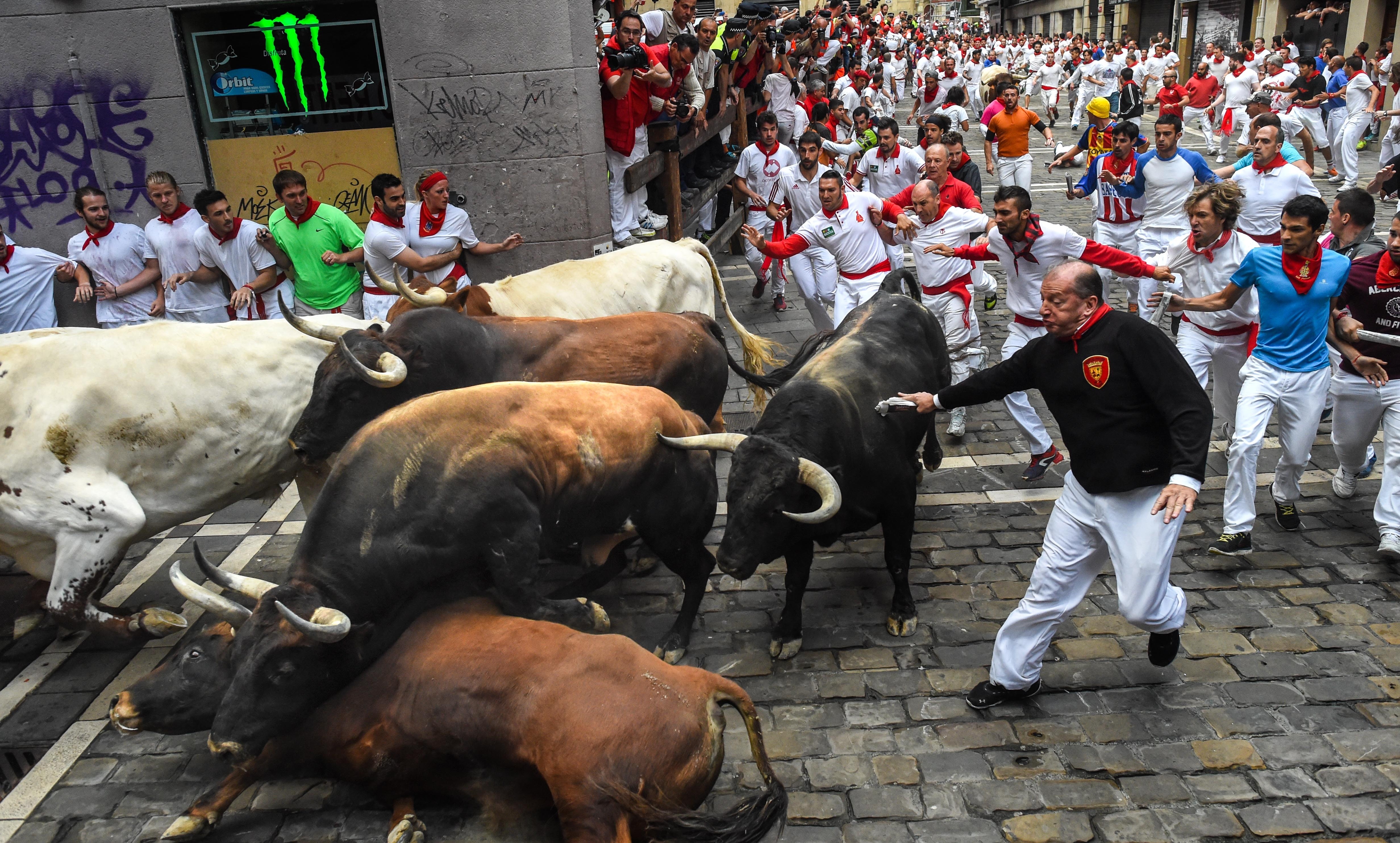 People Aren't The Only Ones Getting Hurt At The Running Of The Bulls ...