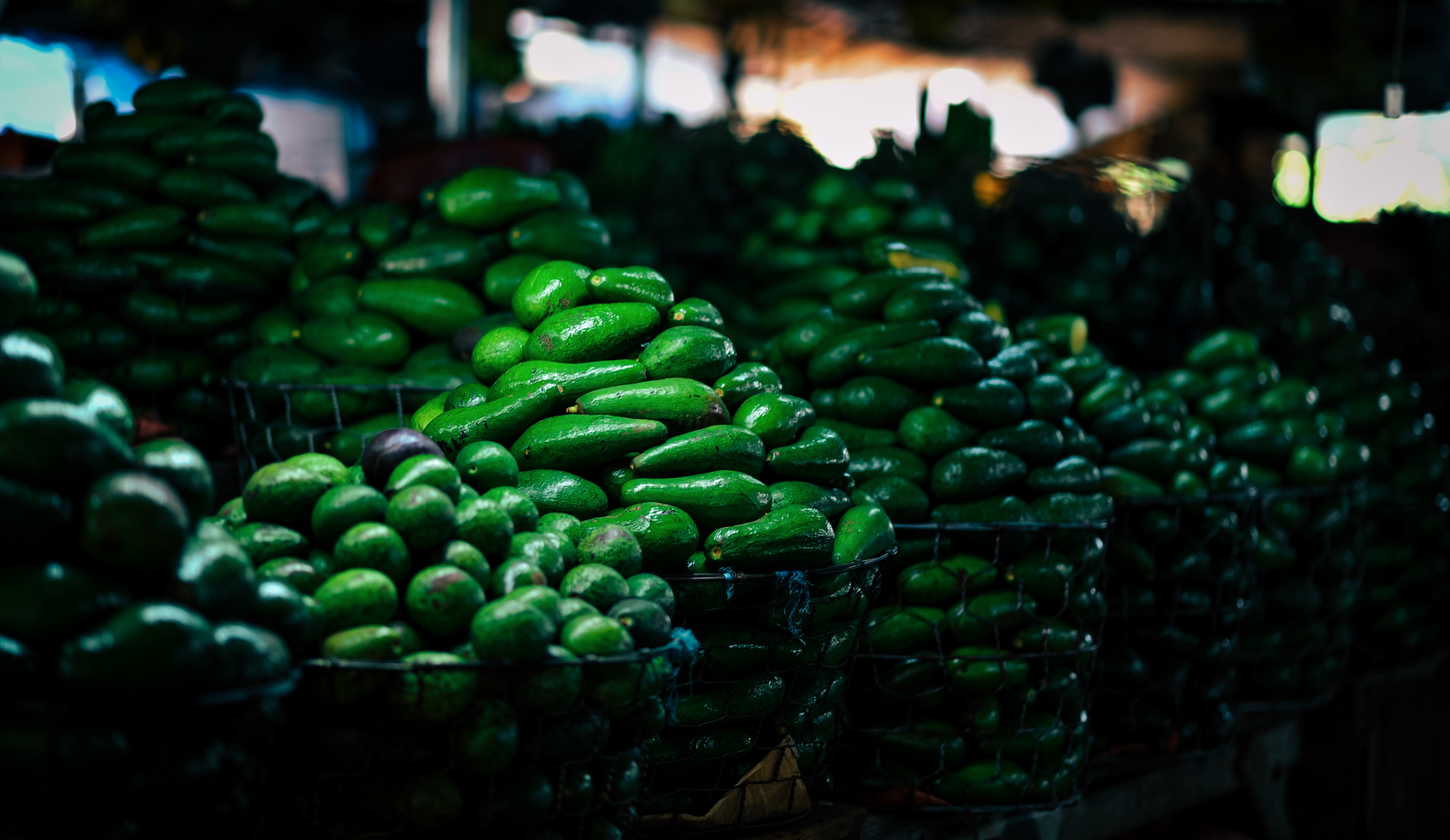 Bunch of avocados photo