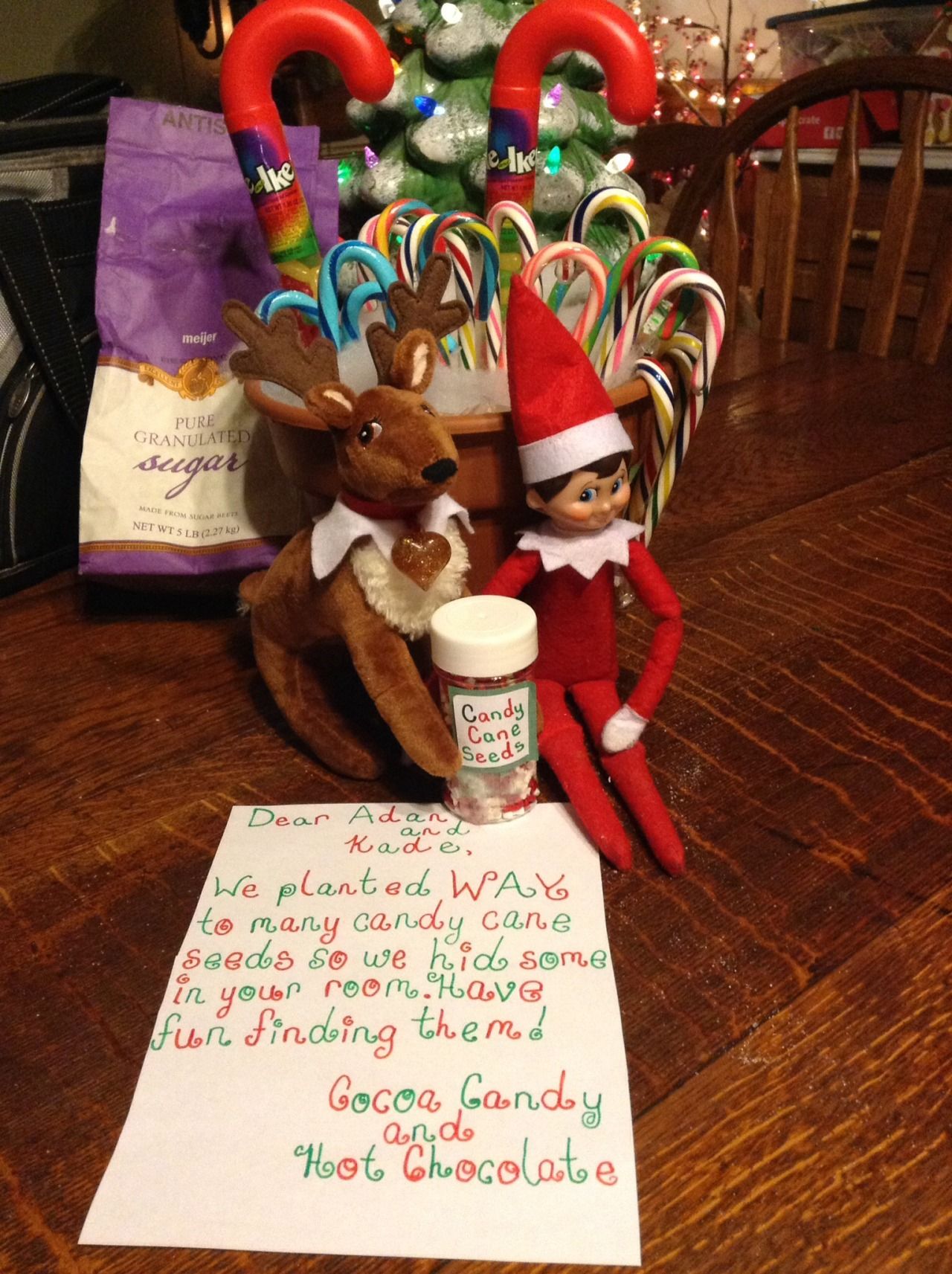 Elf on the Shelf Candy Cane Seeds The Elf, Cocoa, and his reindeer ...